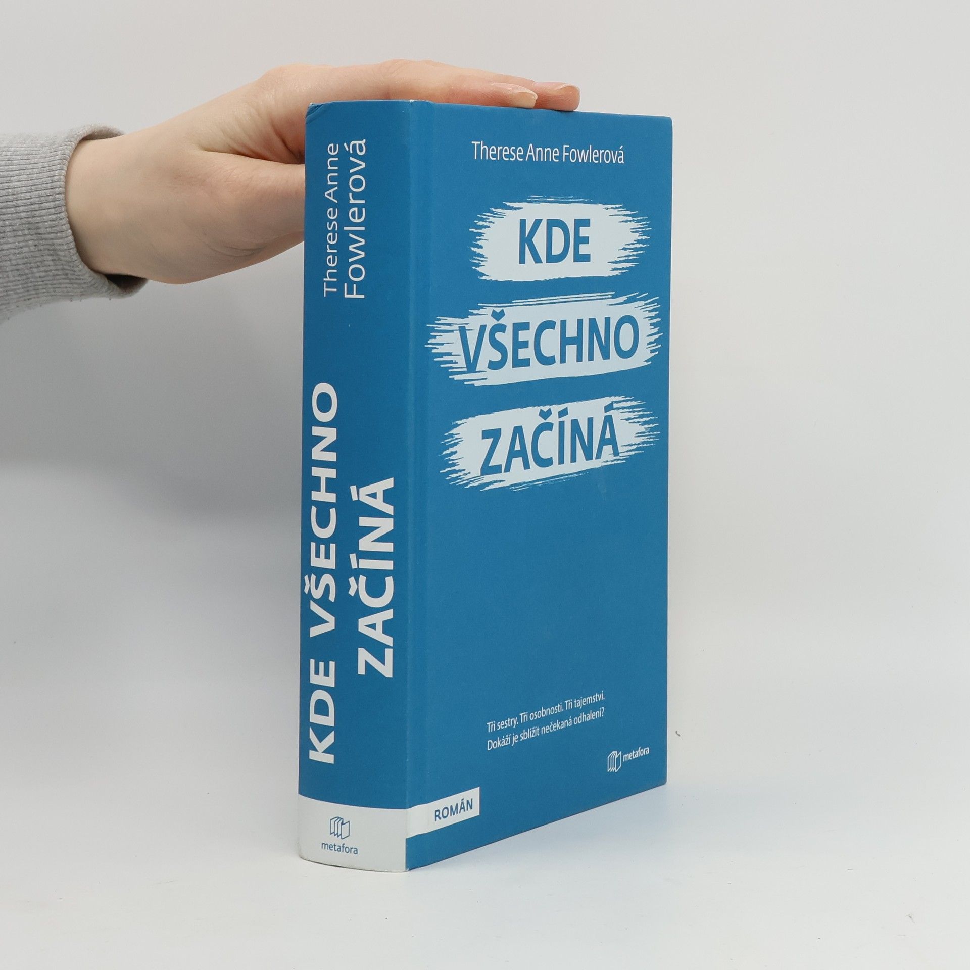 Therese Fowler Kde všechno začíná