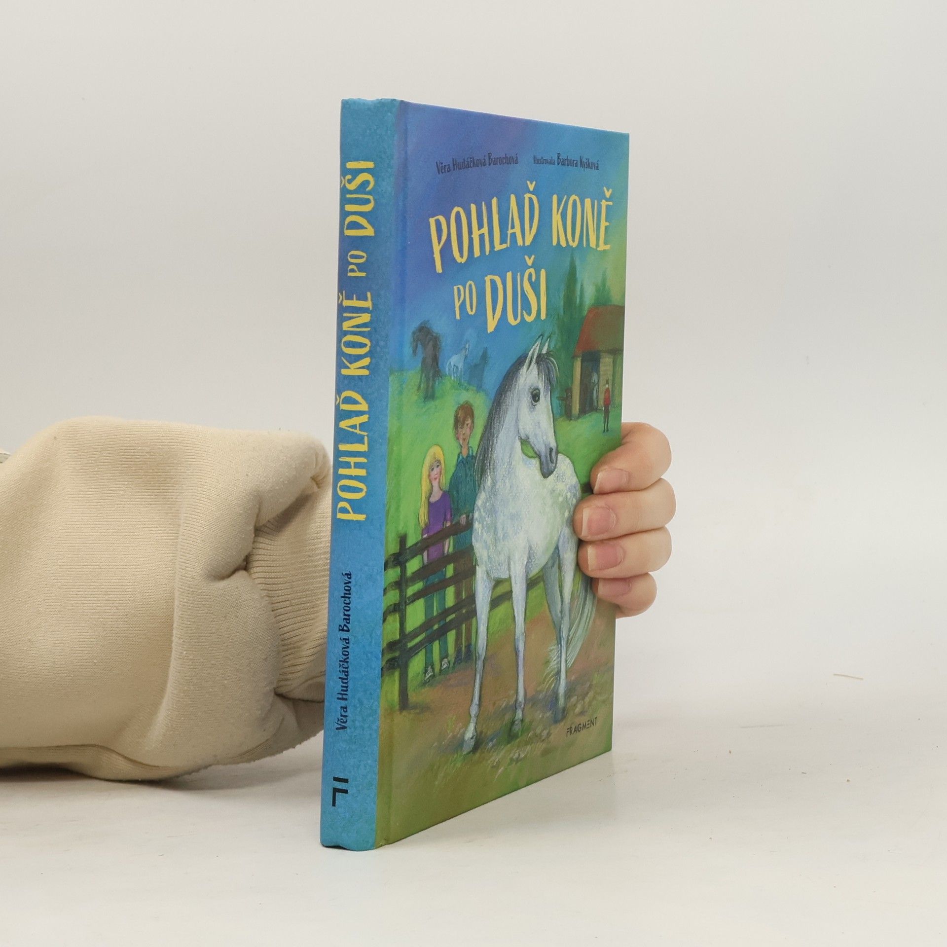 Pohlaď koně po duši