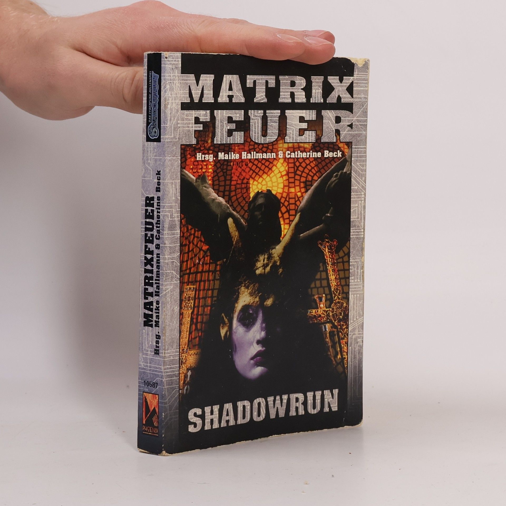 Maike Hallmann Matrixfeuer