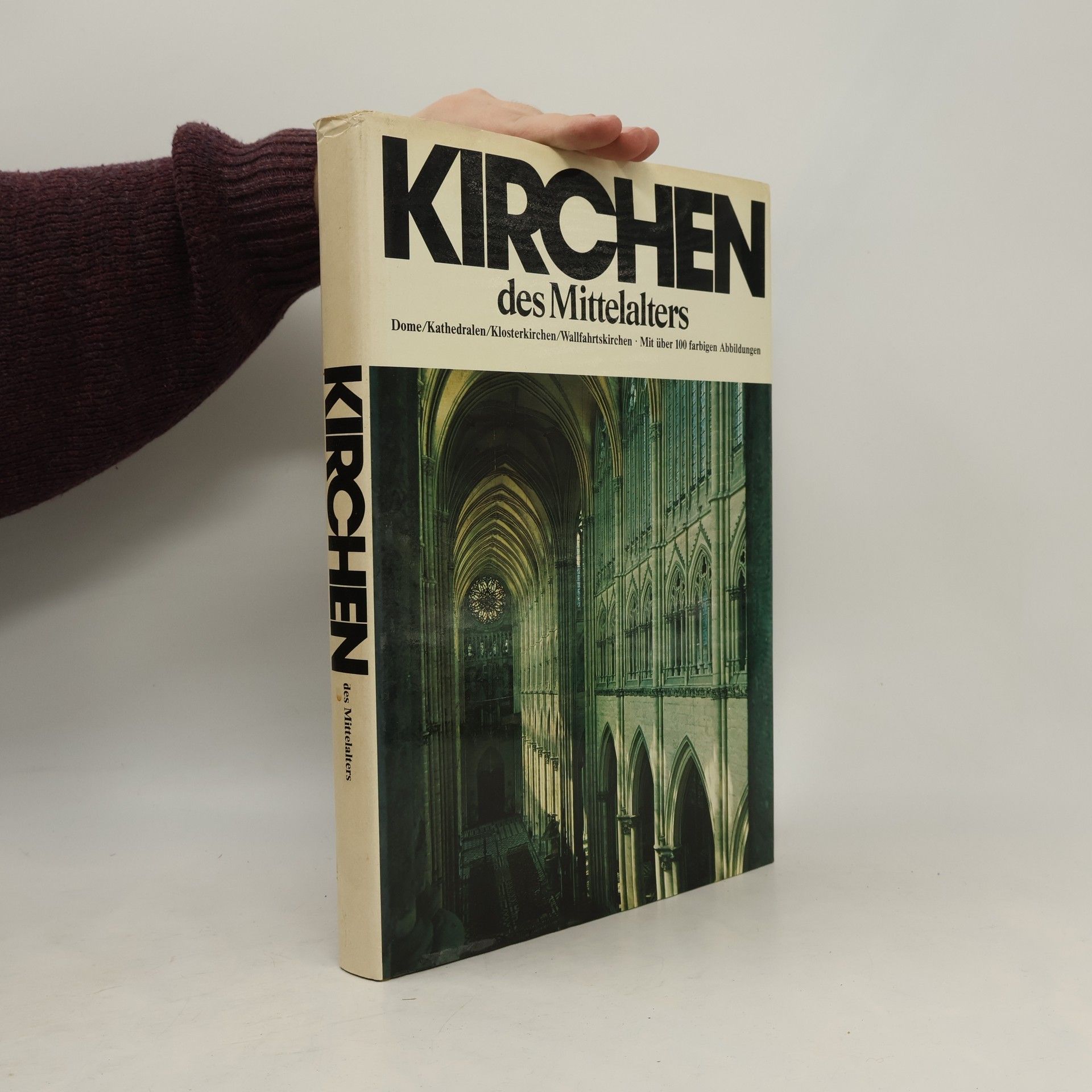 Kolektív autorov Kirchen des Mittelalters