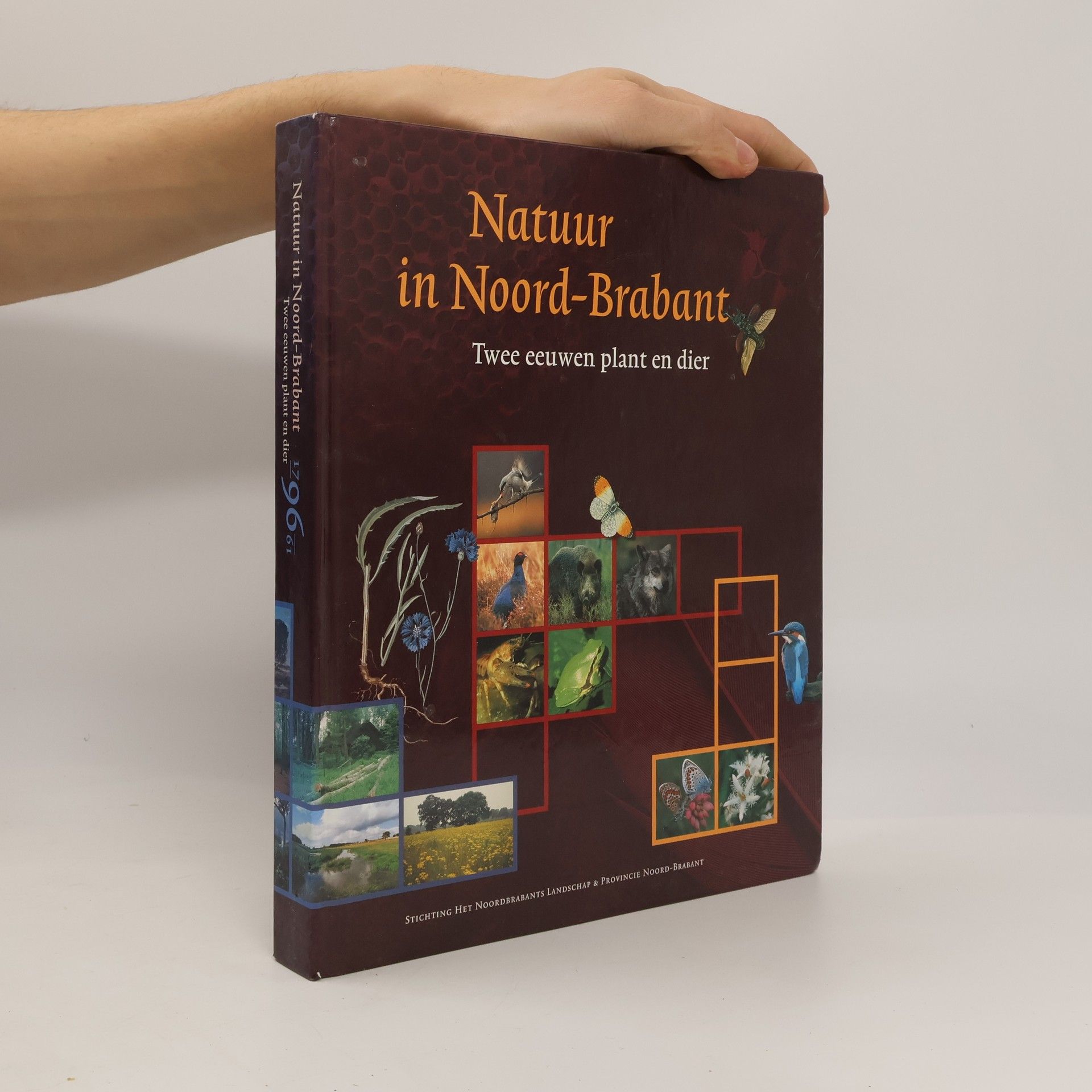 Natuur in Noord-Brabant