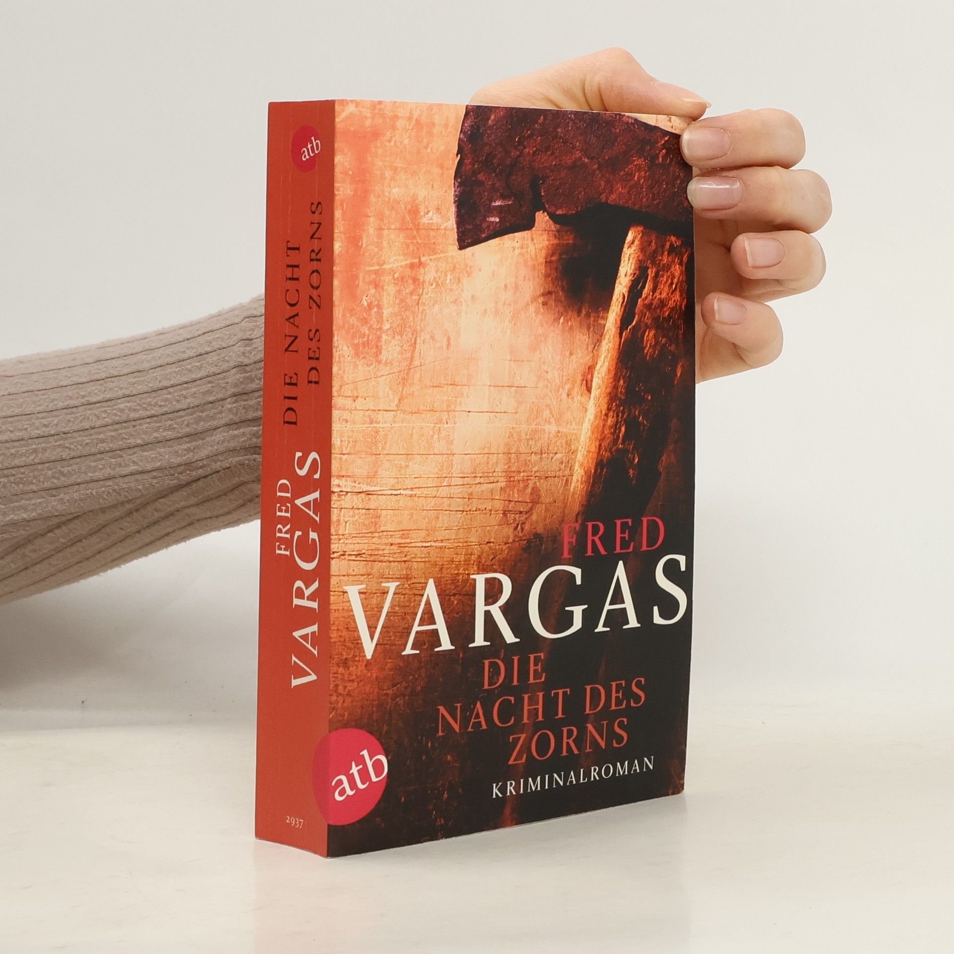 Fred Vargas Die Nacht des Zorns