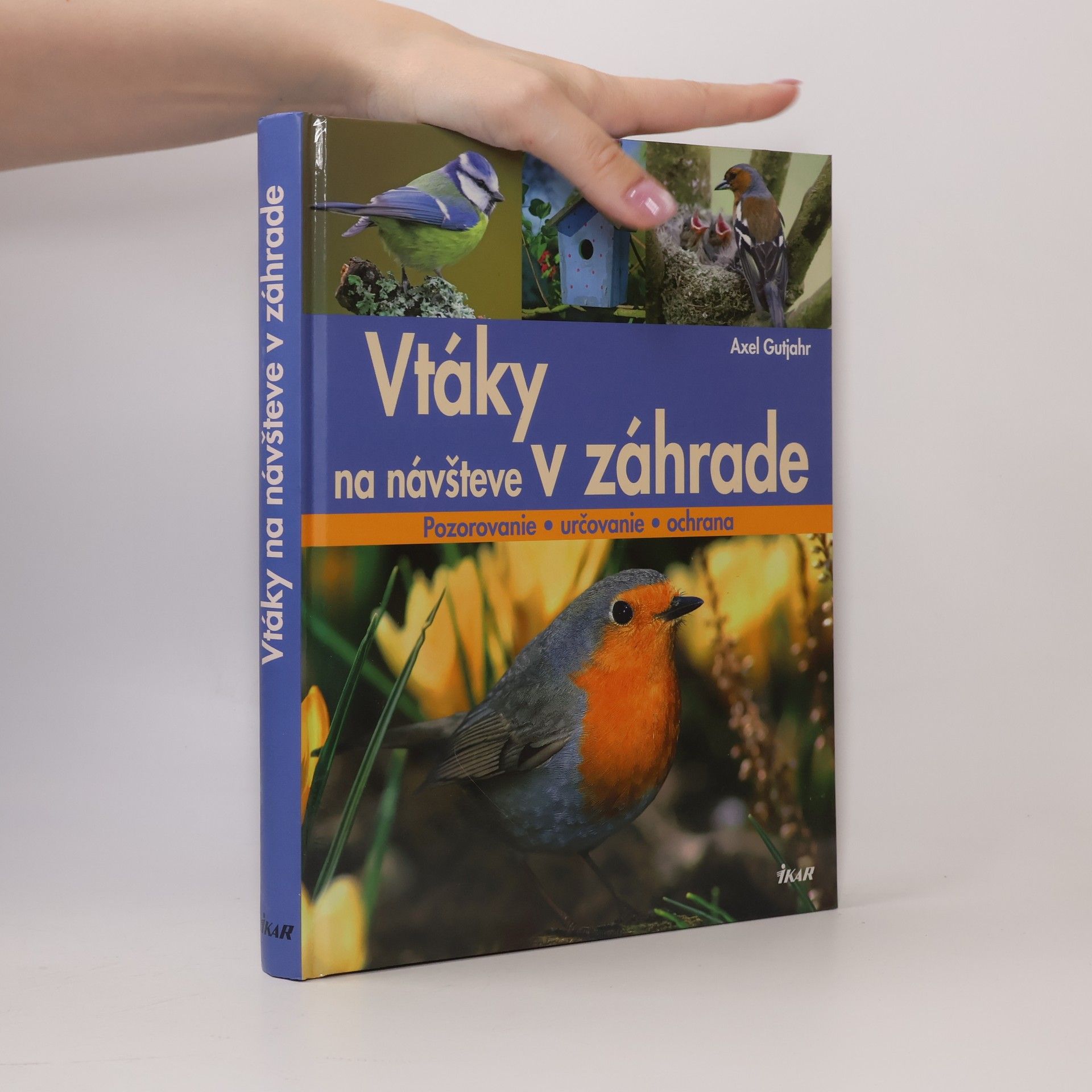 Vtáky na návšteve v záhrade