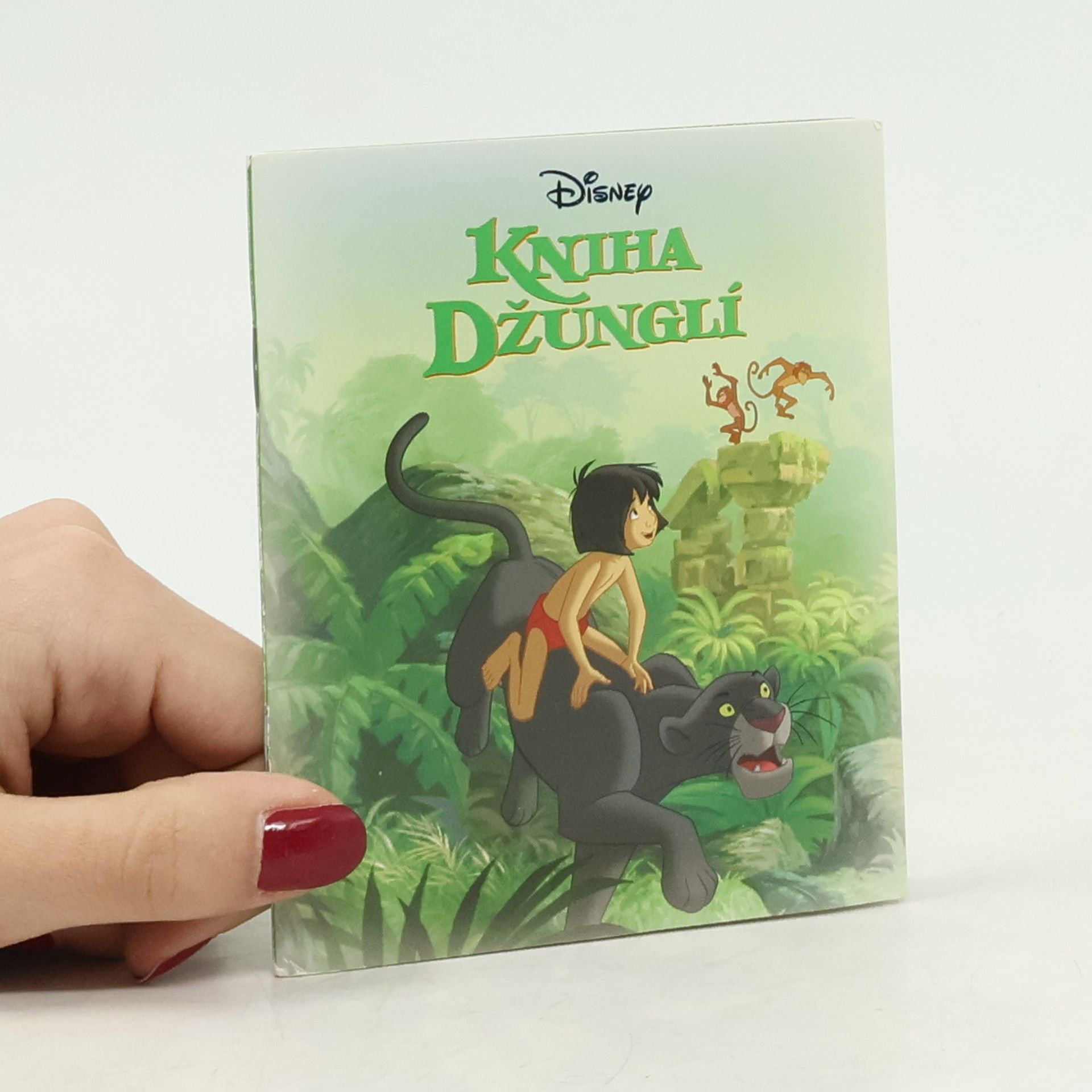 Walt Disney Kniha džunglí