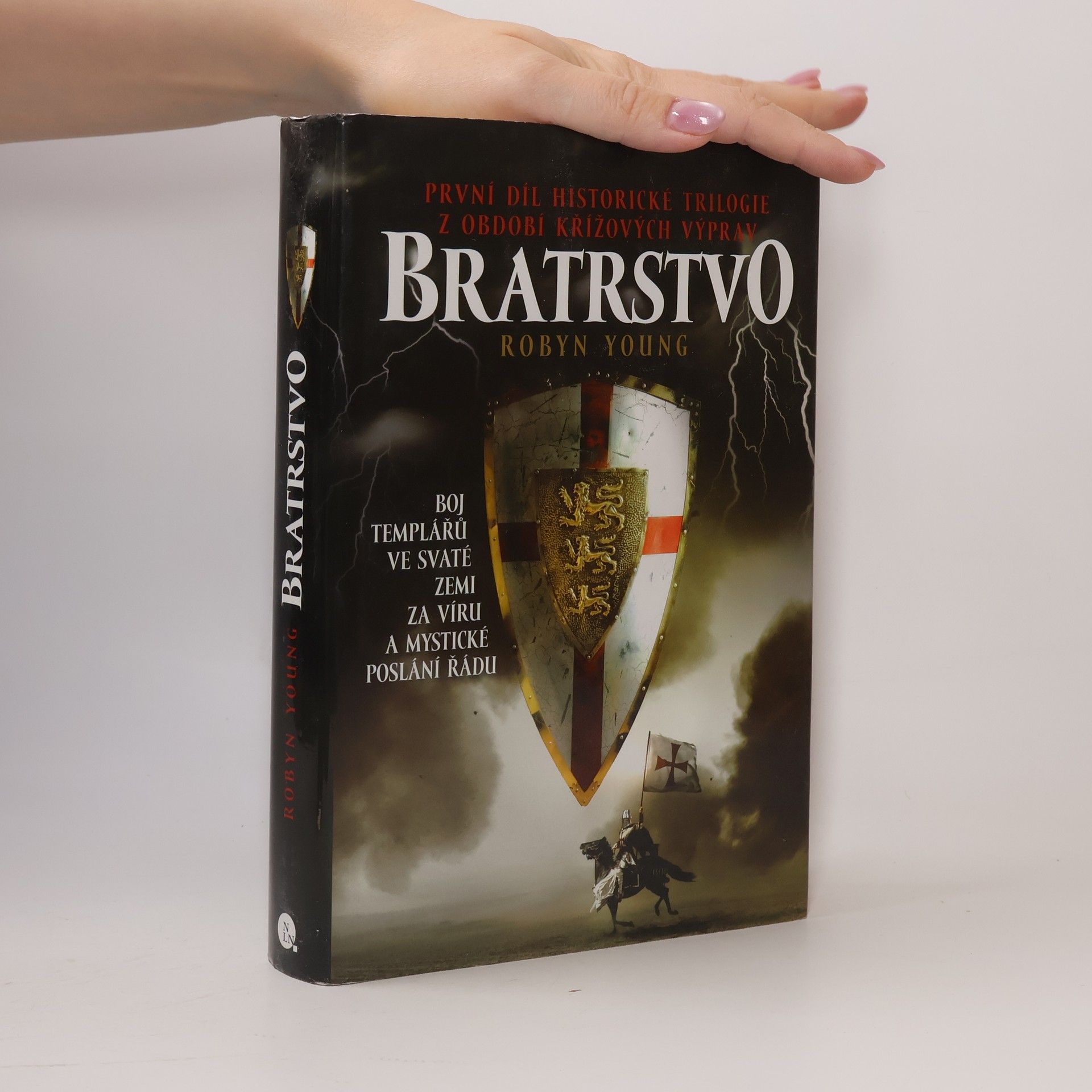 Robyn Young Bratrstvo