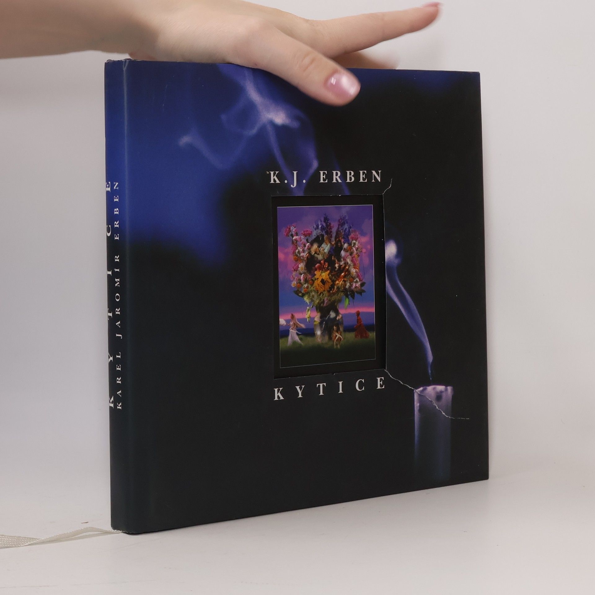 Karel Jaromír Erben Kytice (Obrazová kniha k filmu)