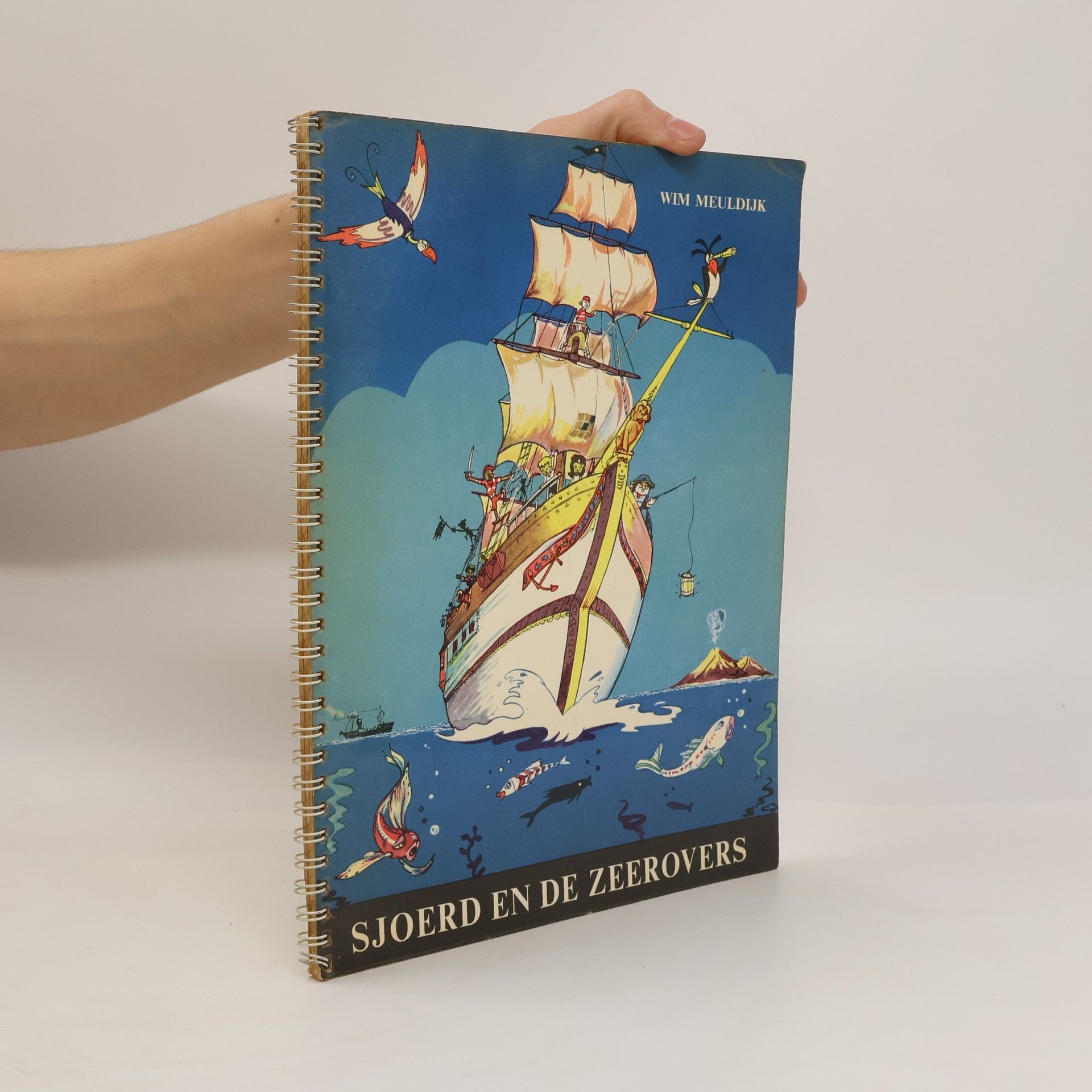 Sjoerd en de Zeerovers