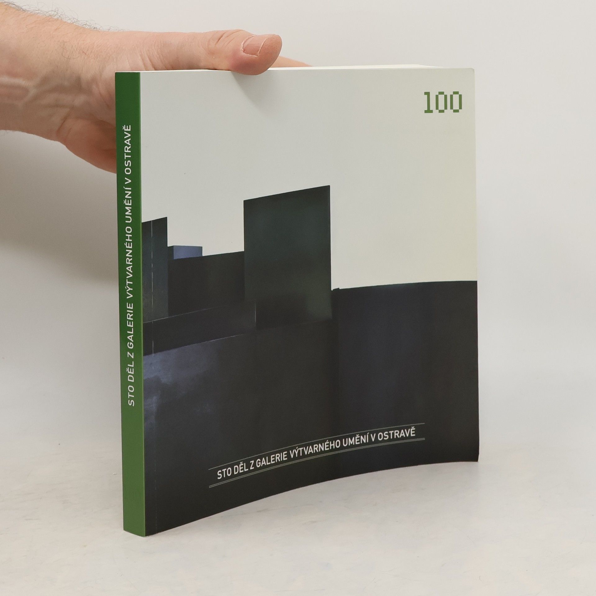 Autorenkollektiv Sto děl z Galerie výtvarného umění v Ostravě