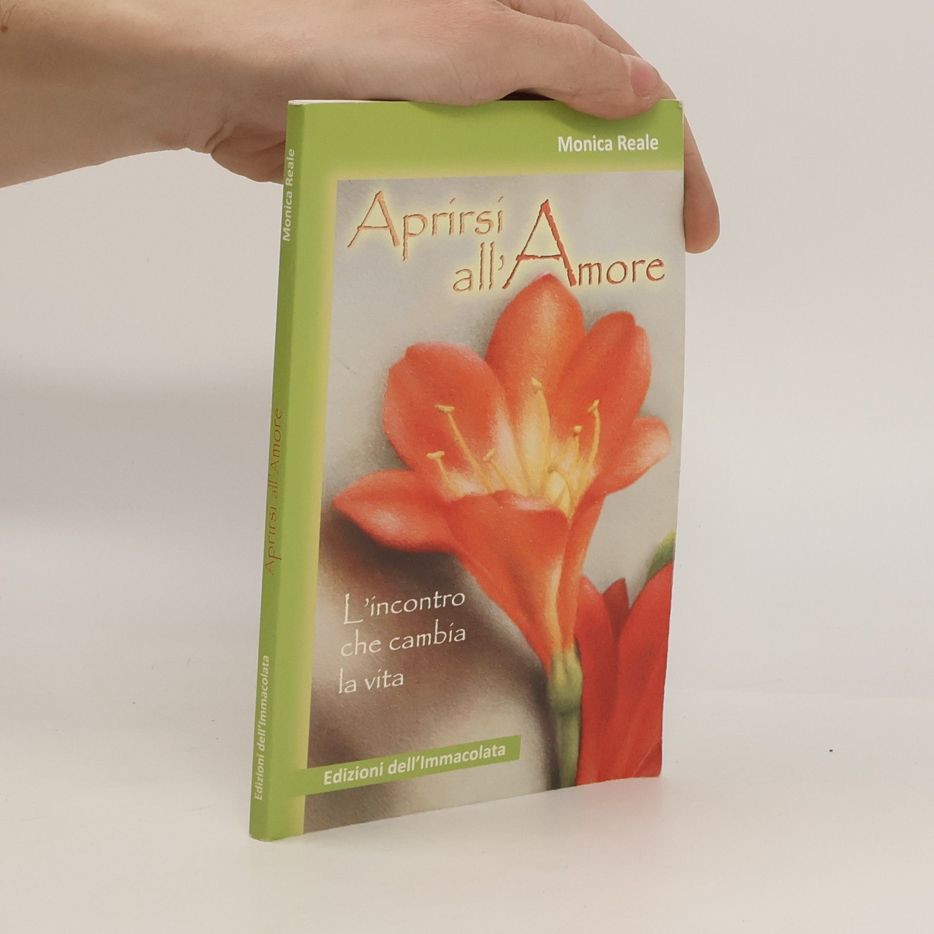 Monica Reale Aprirsi all'amore. L'incontro che cambia la vita