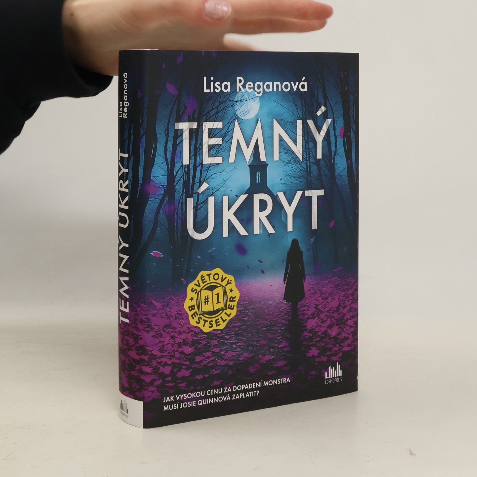 Lisa Regan Temný úkryt