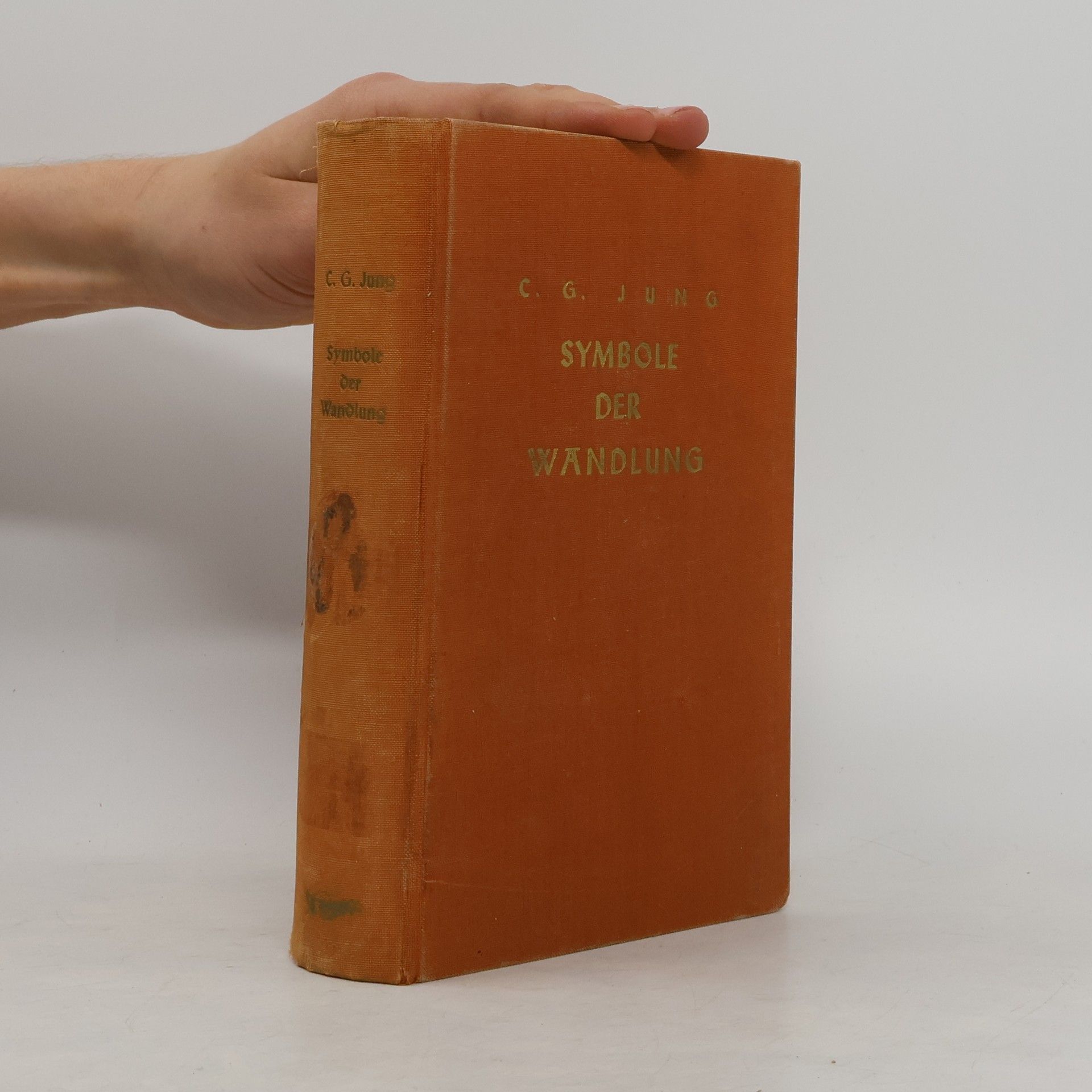 Carl Gustav Jung Symbole der wandlung