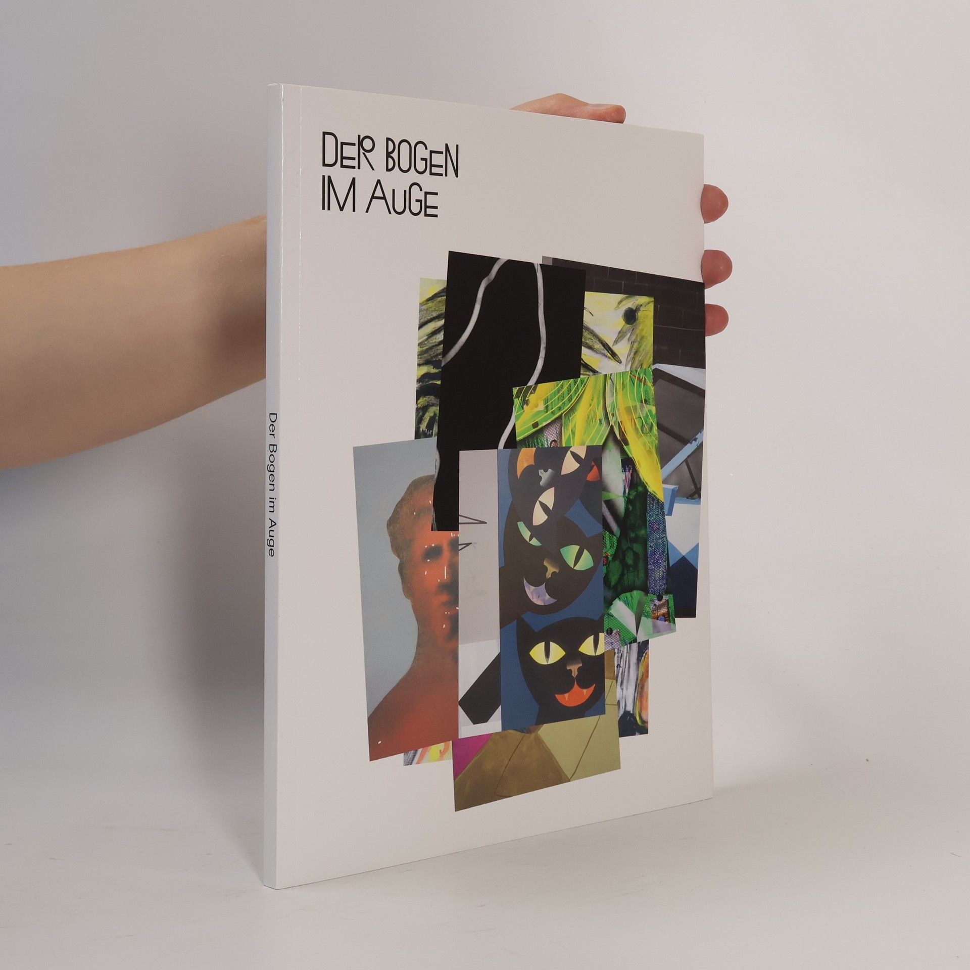 Kolektiv autorů Der Bogen im Auge