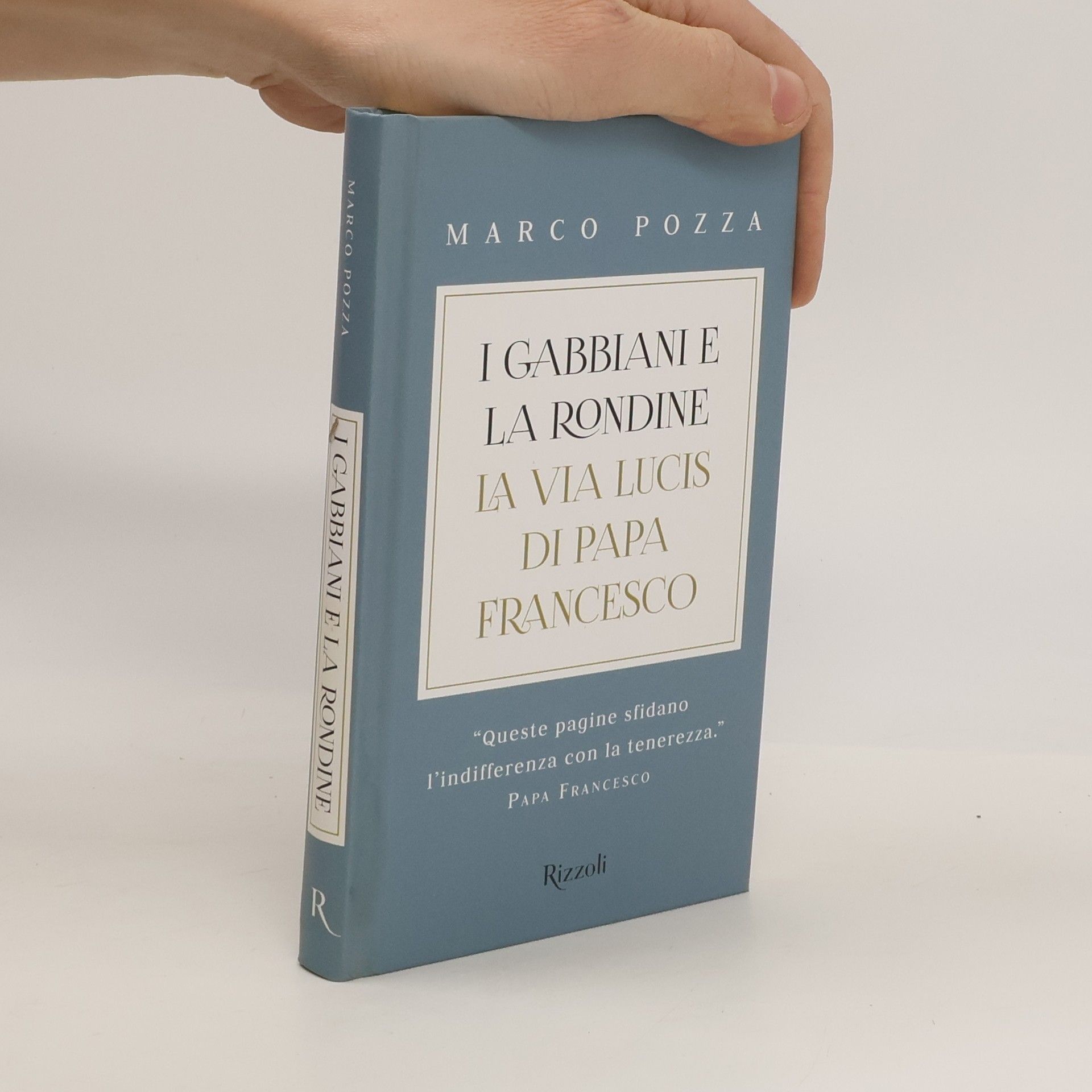 Saggi italiani: I gabbiani e la rondine. La via lucis di papa Francesco