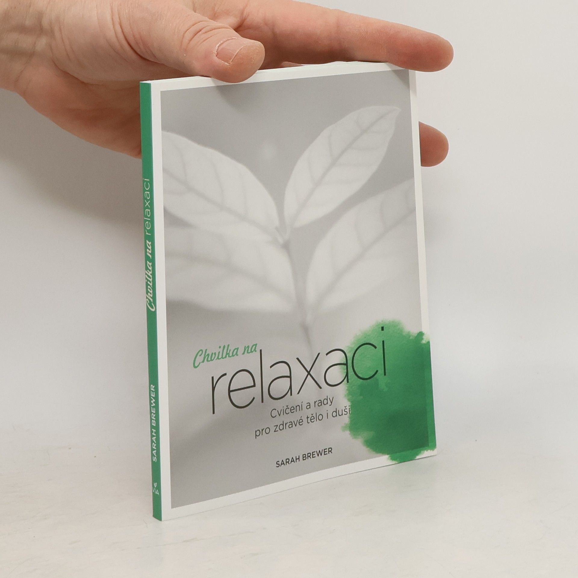 Sarah Brewer Chvilka na relaxaci: Cvičení a rady pro zdravé tělo i duši