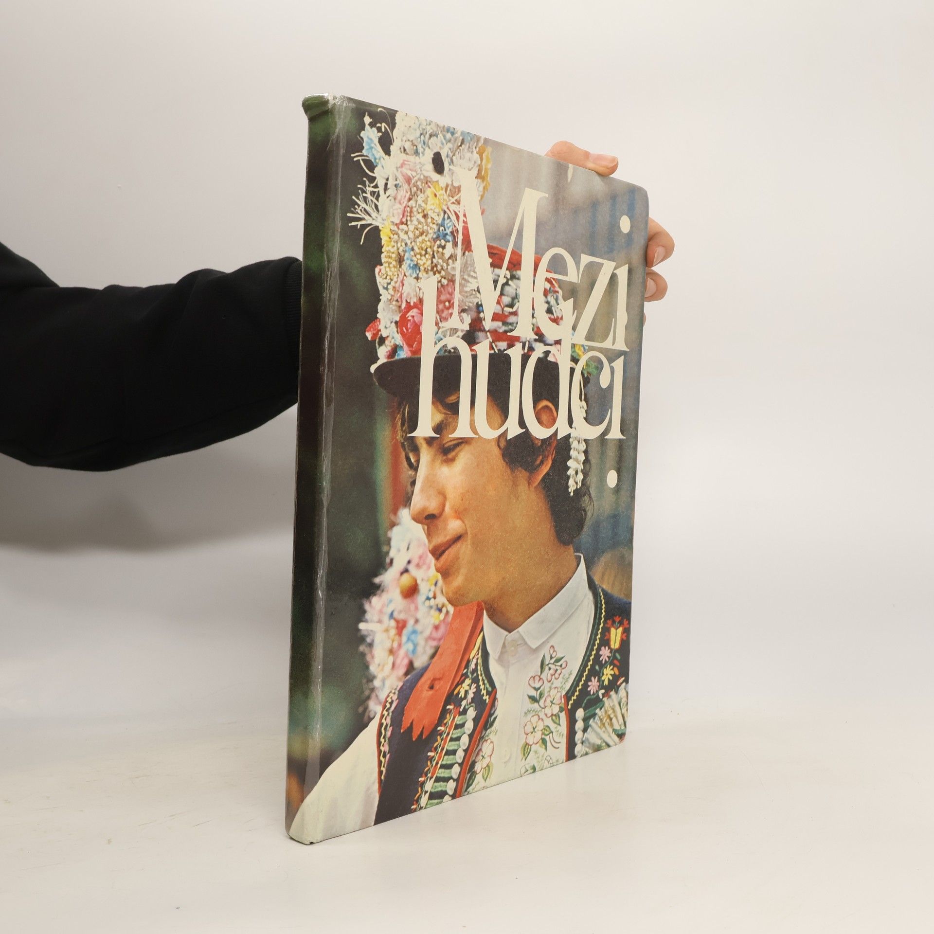 Mezi hudci. Slavnosti lidových písní a tanců v Čechách a na Moravě