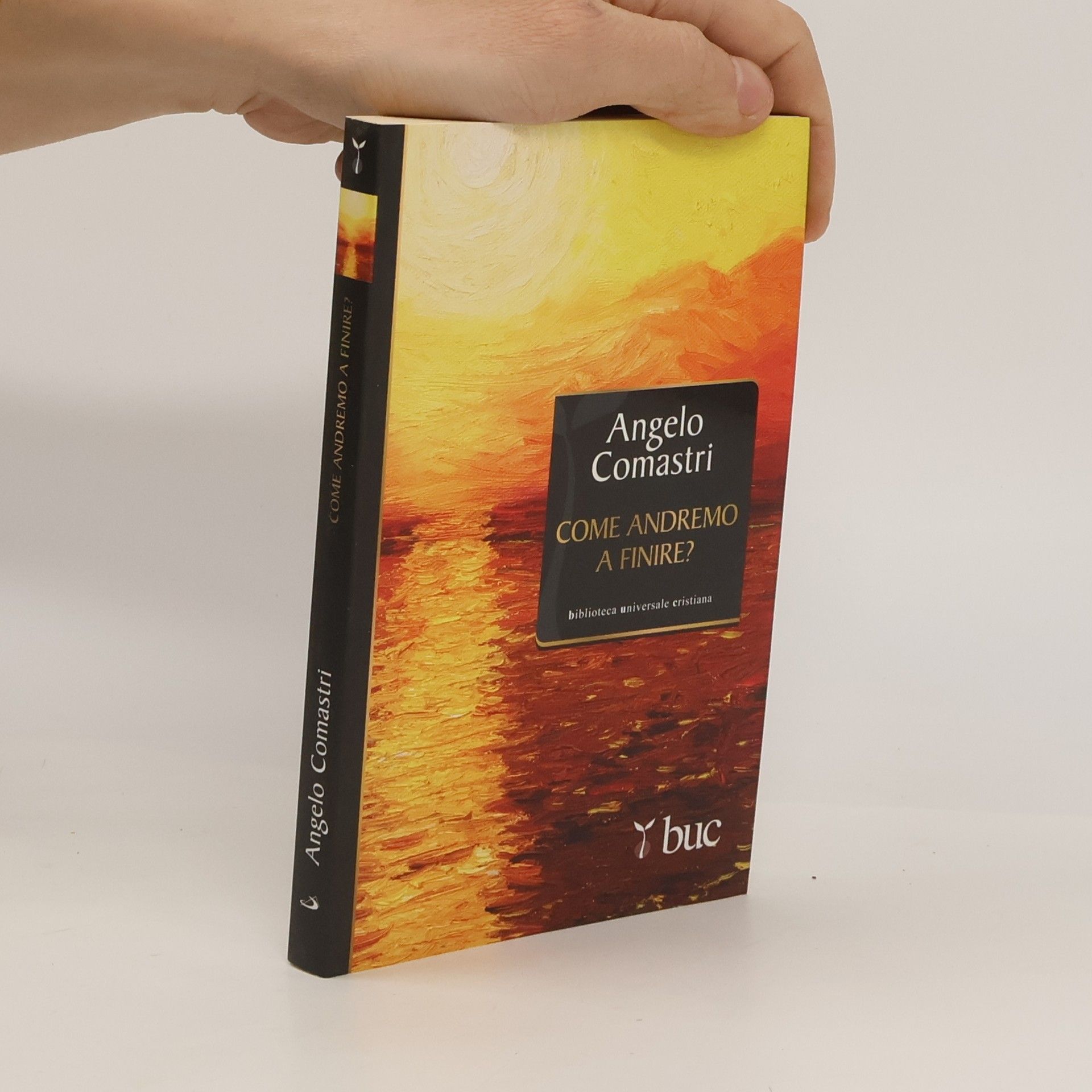 Come andremo a finire?