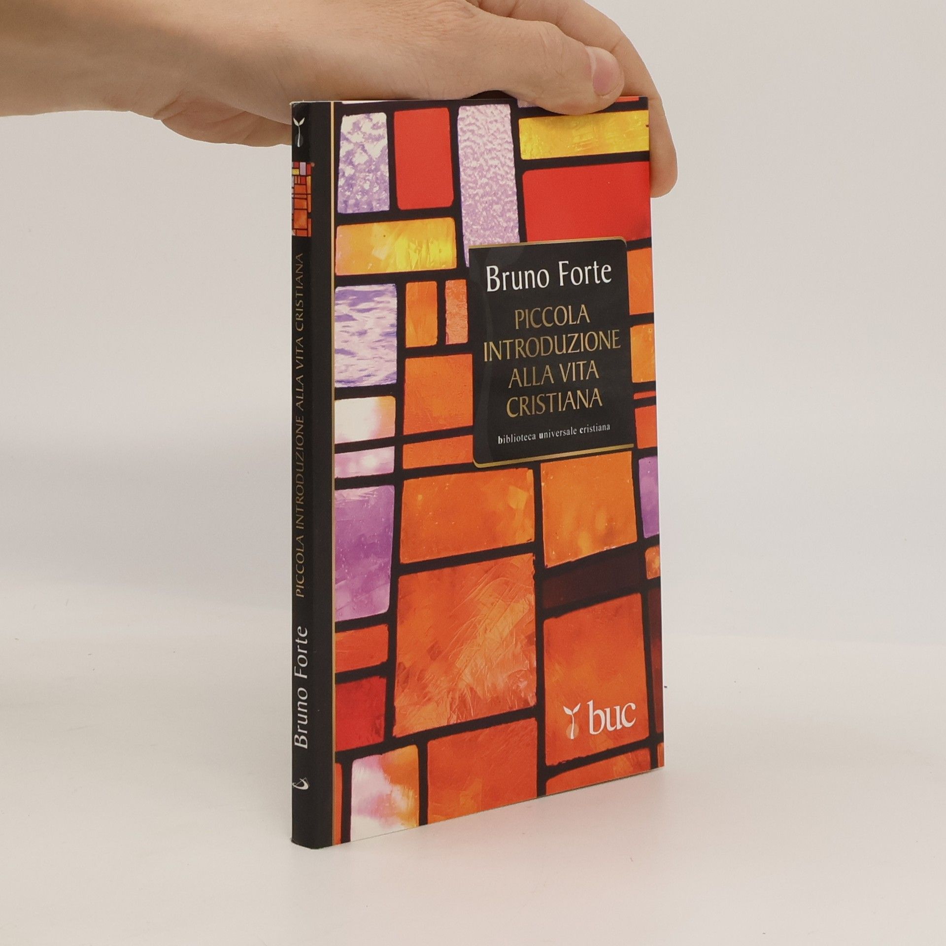 Piccola introduzione alla vita cristiana