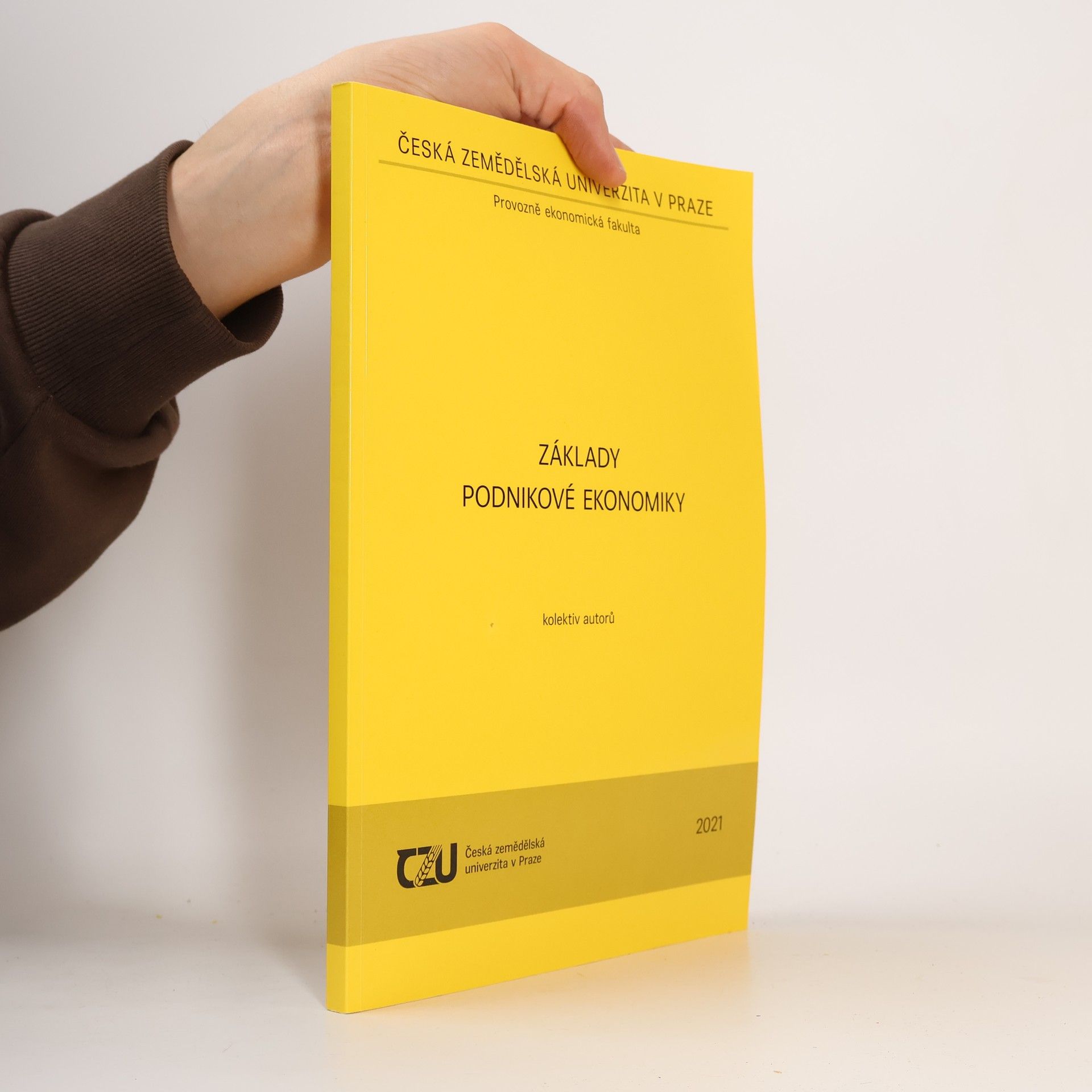 Kolektiv autorů Základy podnikové ekonomiky