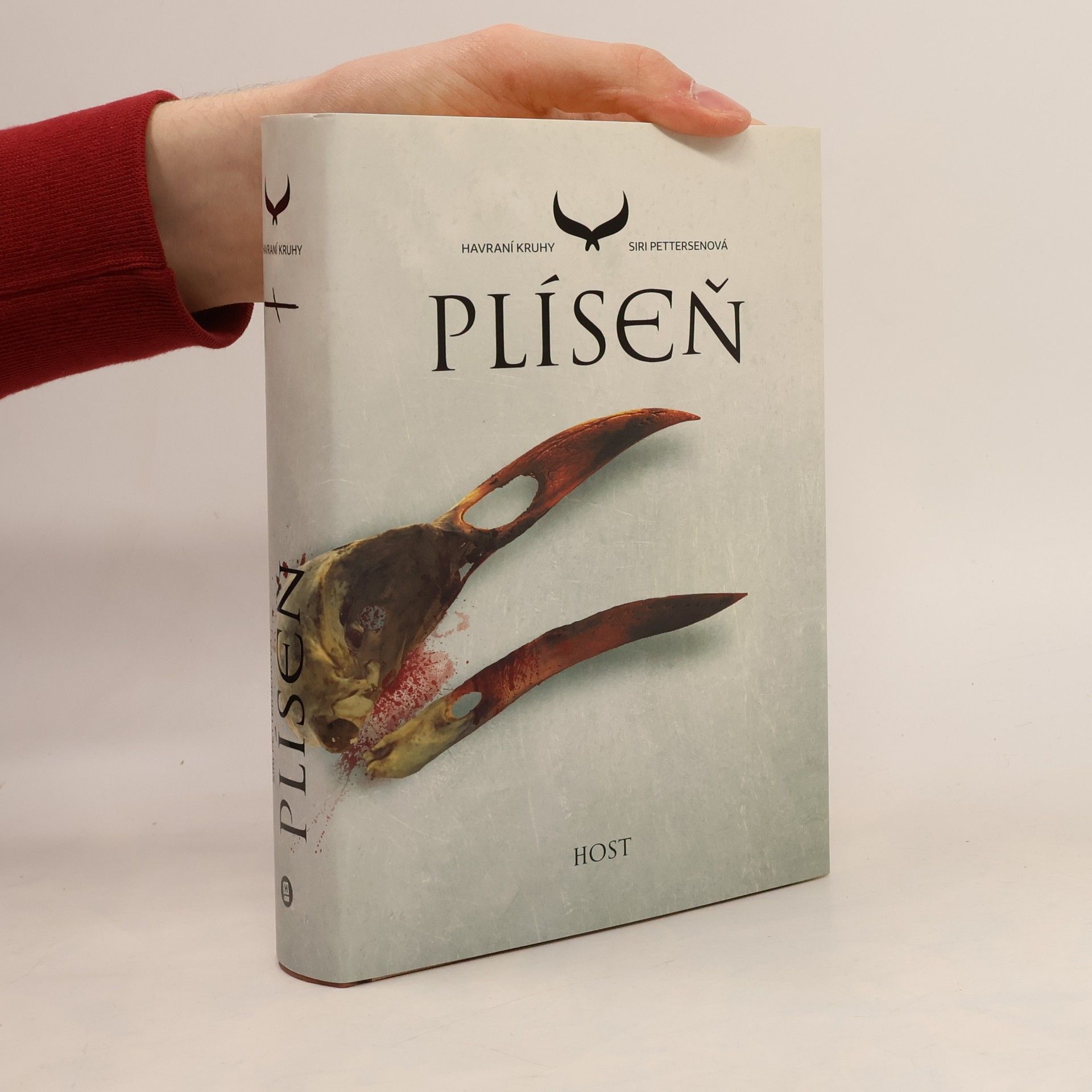 Siri Pettersen Havraní kruhy. Plíseň