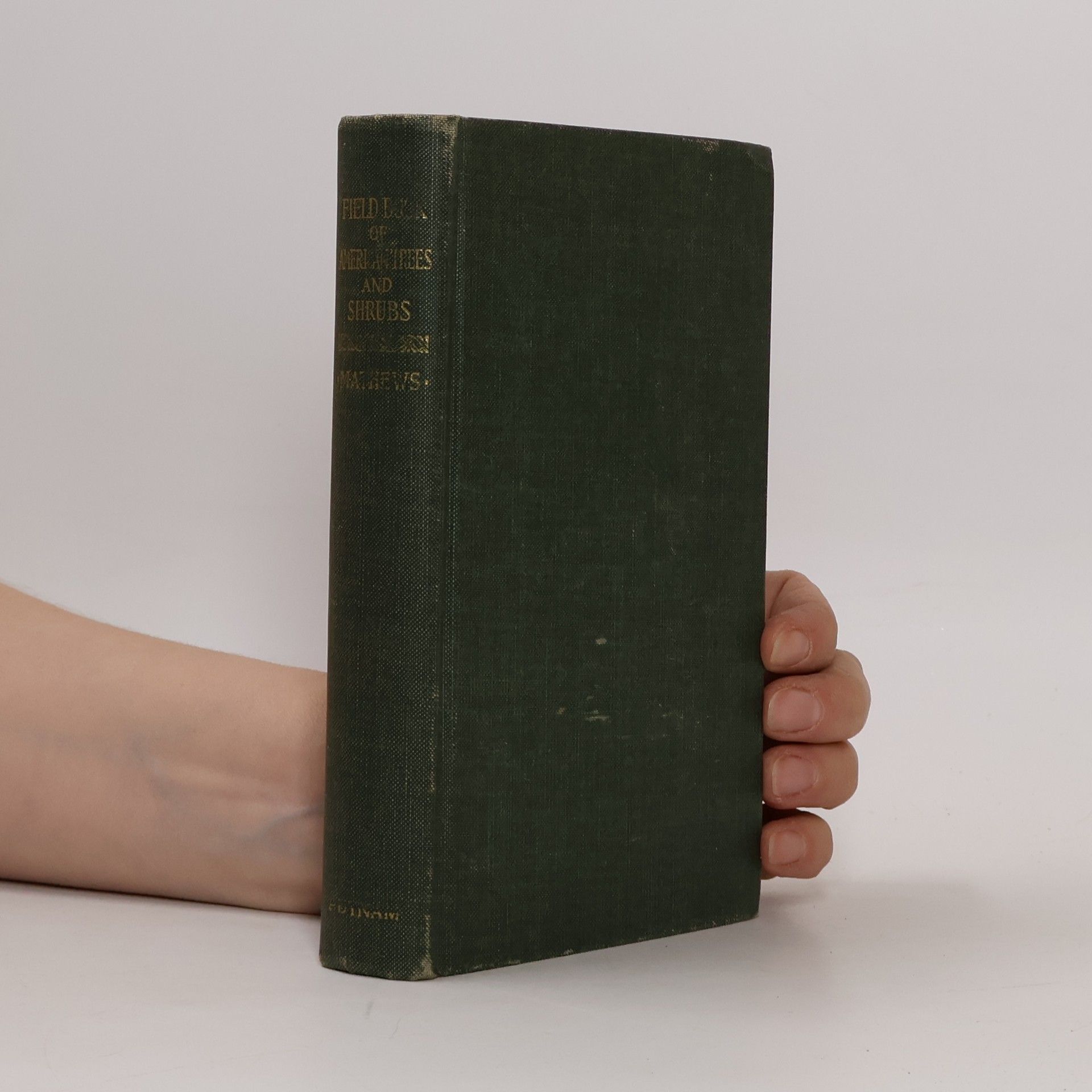 Ferdinand Schuyler Mathews Field Book of American Trees and Shrubs