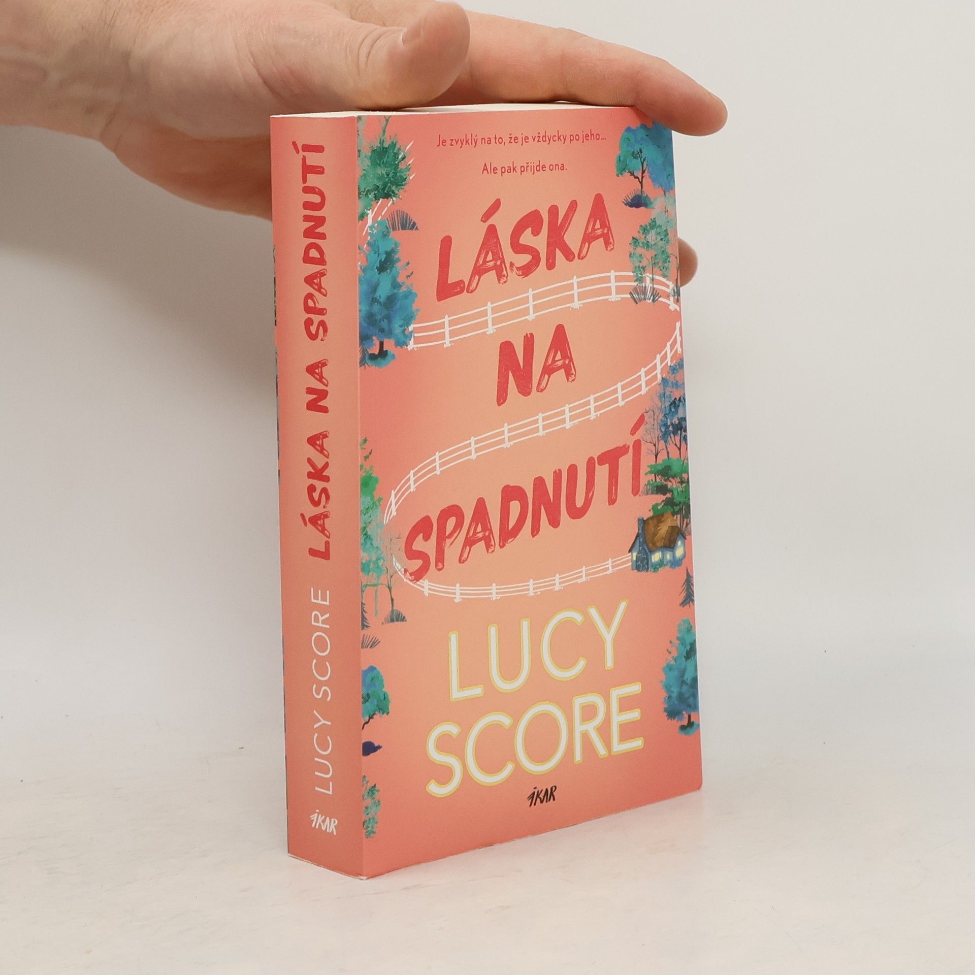 Lucy Score Láska na spadnutí