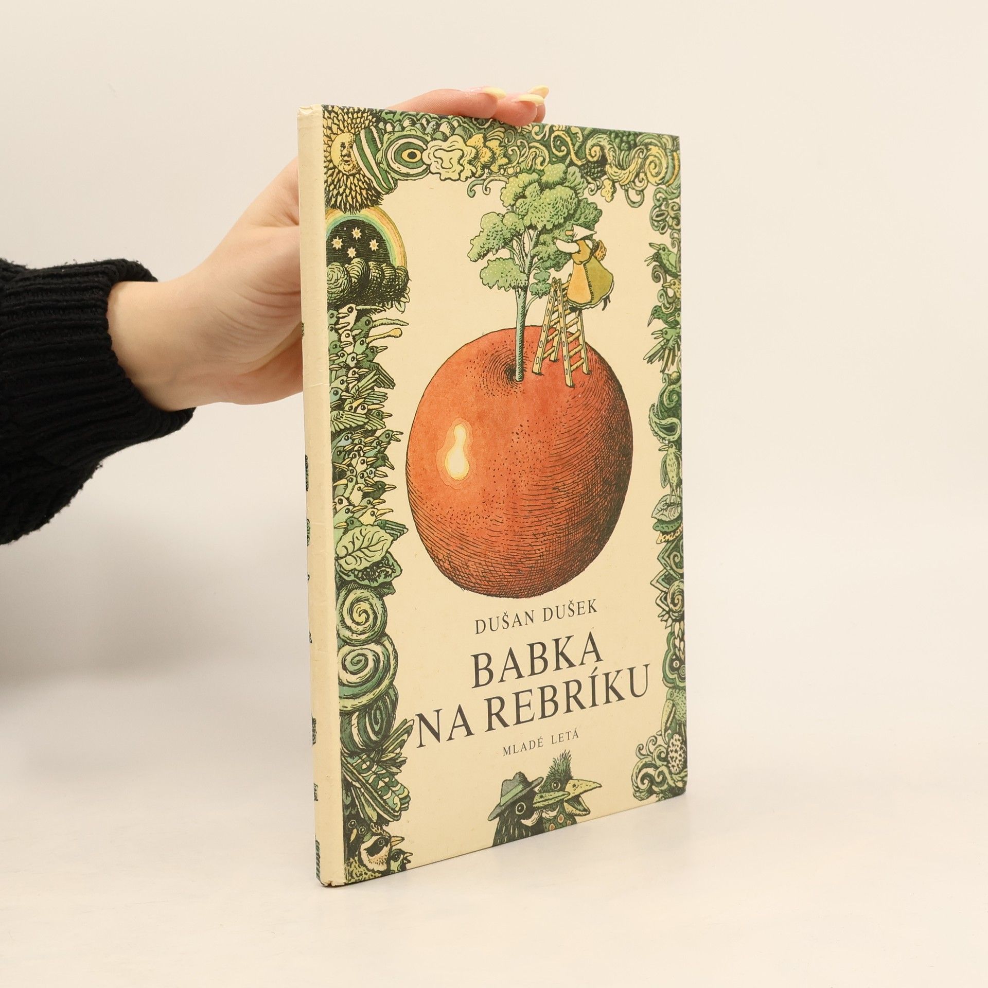 Dušan Dušek Babka na rebríku