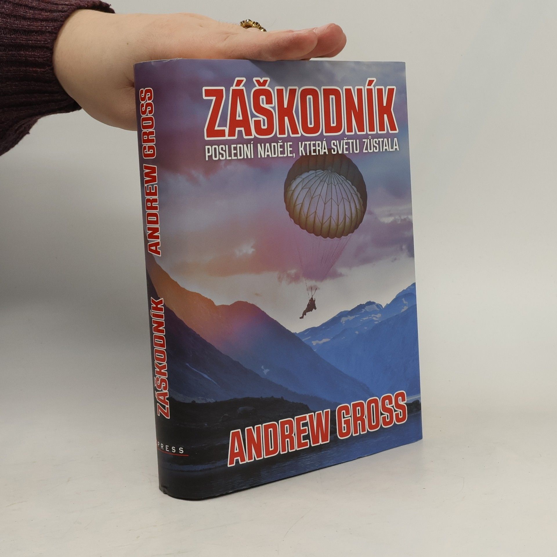 Andrew Gross Záškodník