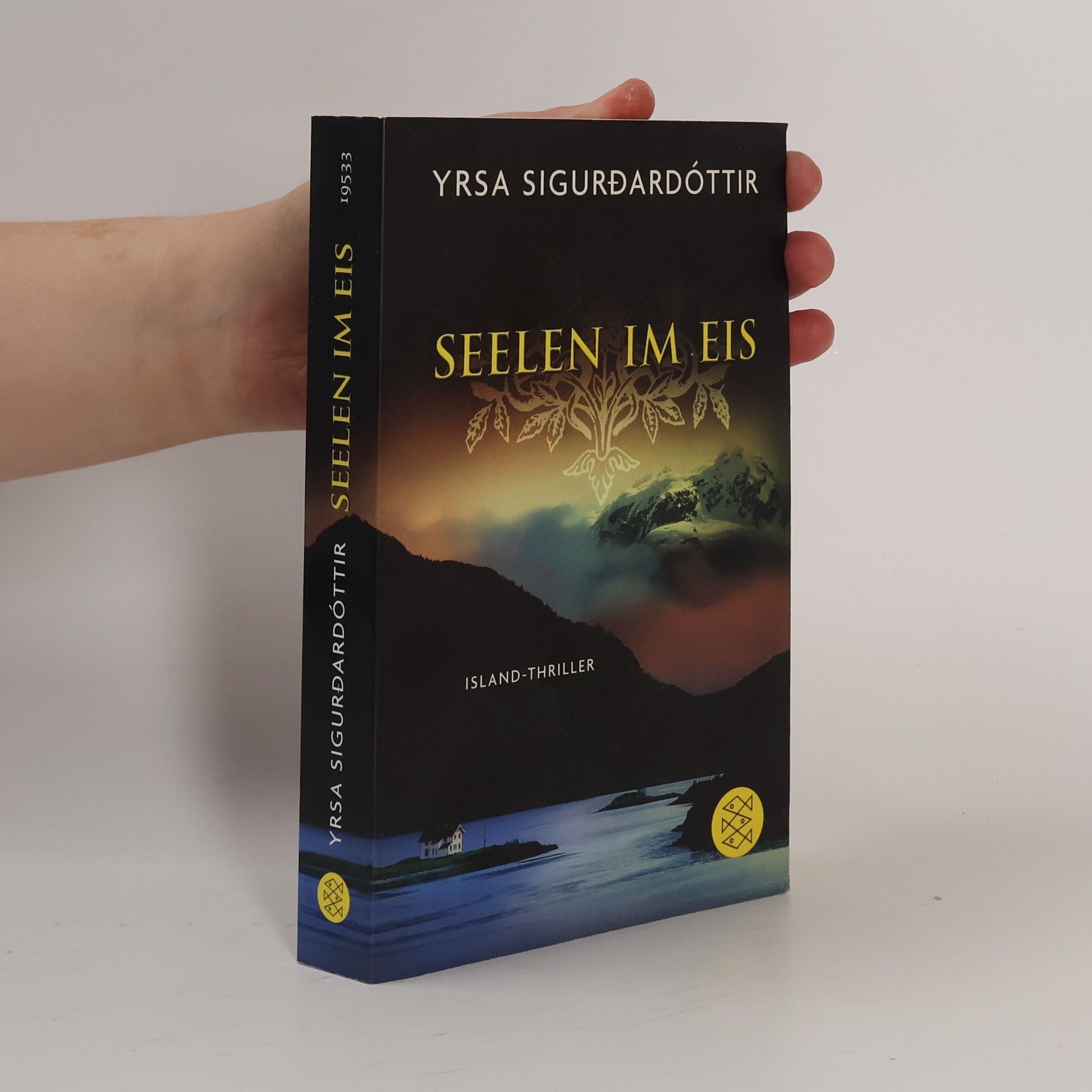 Yrsa Sigurðardóttir Seelen im Eis