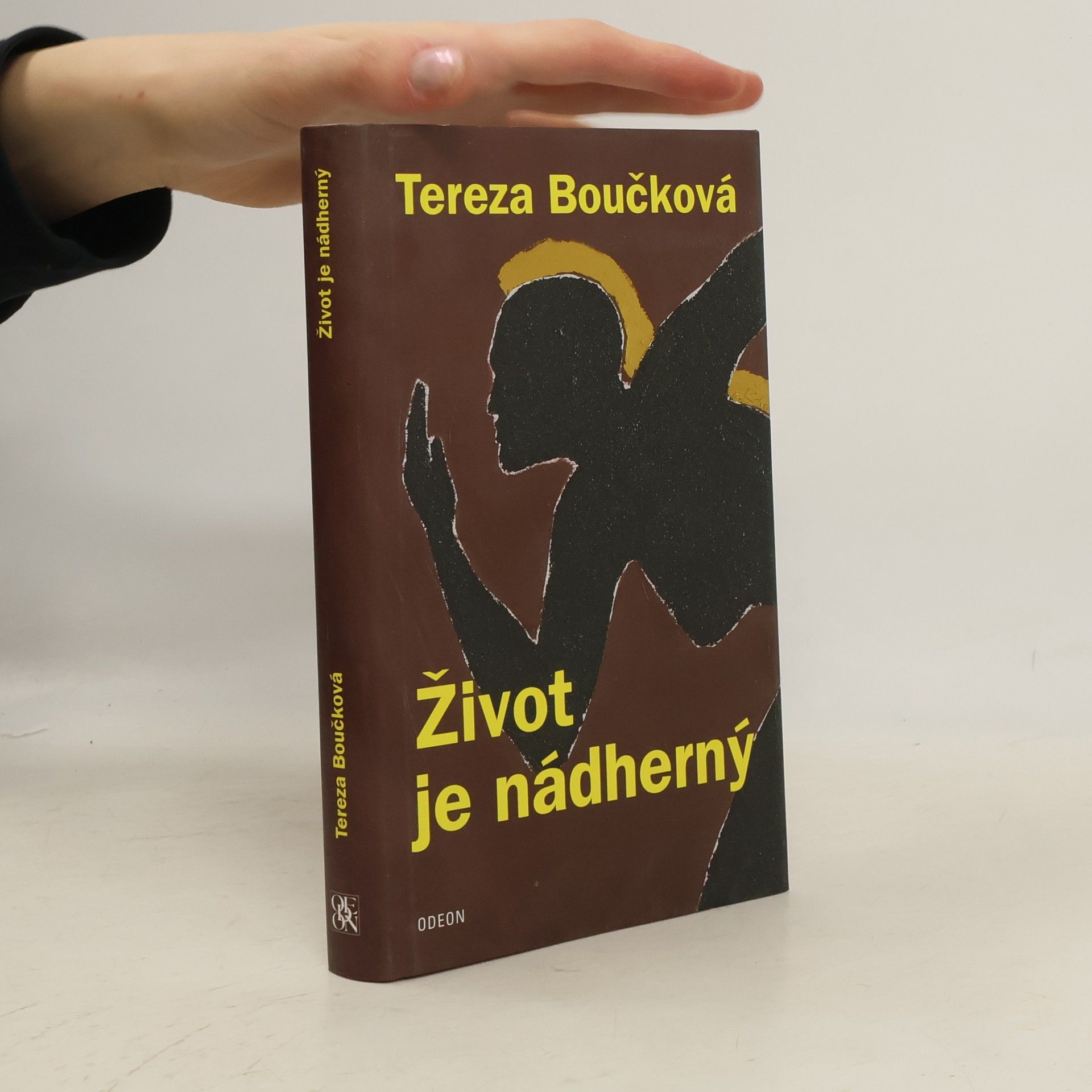 Tereza Boučková Život je nádherný