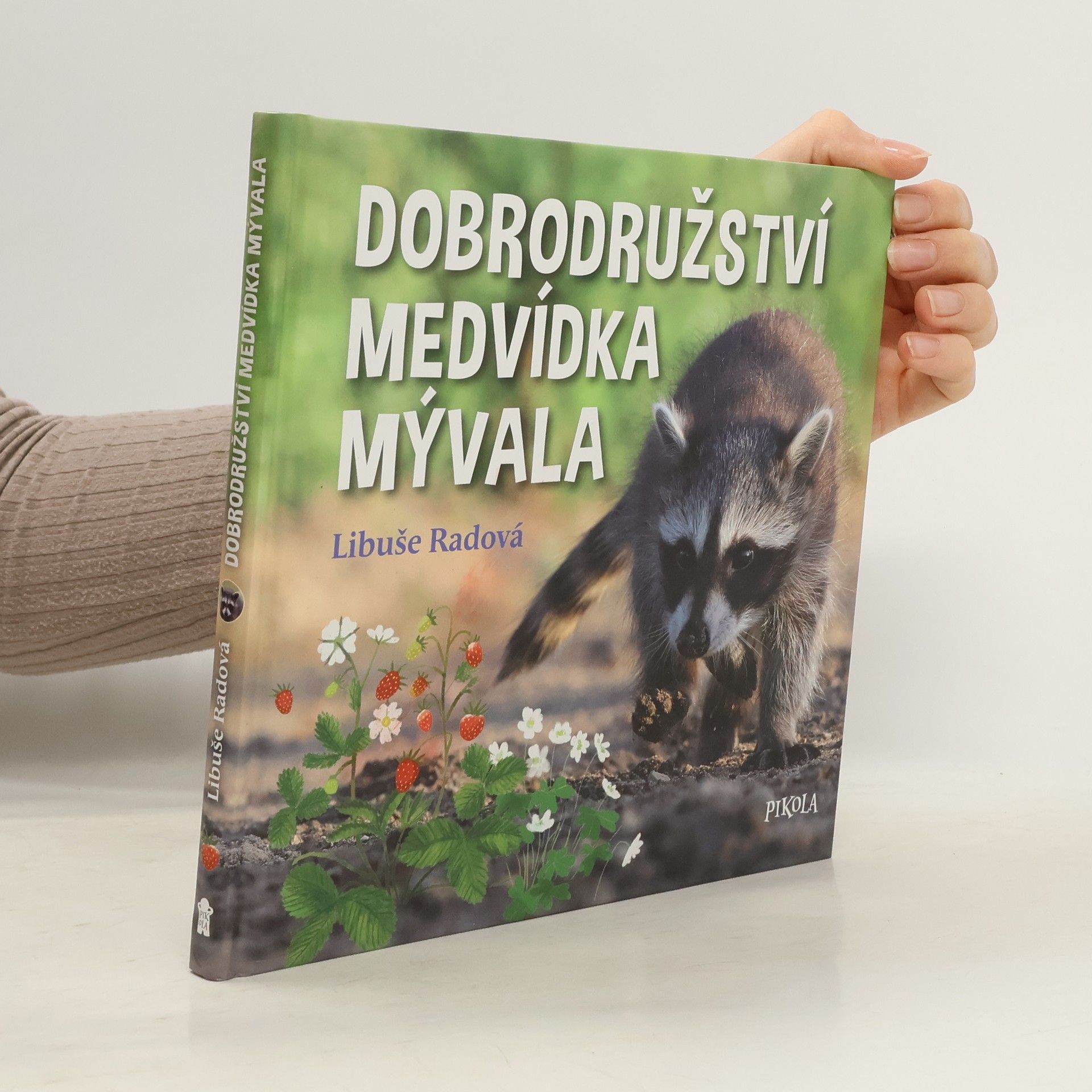Libuše Radová Dobrodružství medvídka mývala