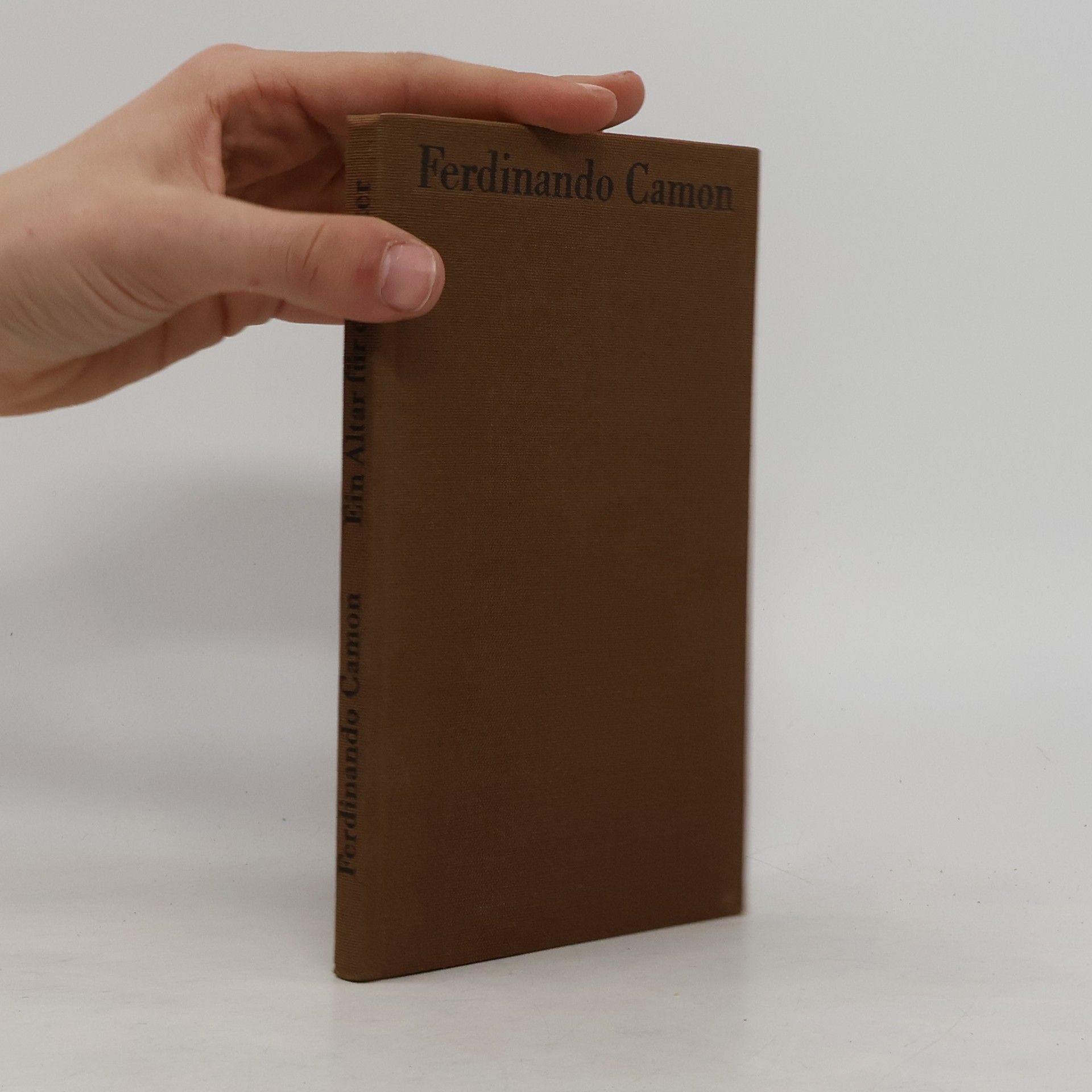 Ferdinando Camon Ein Altar für die Mutter