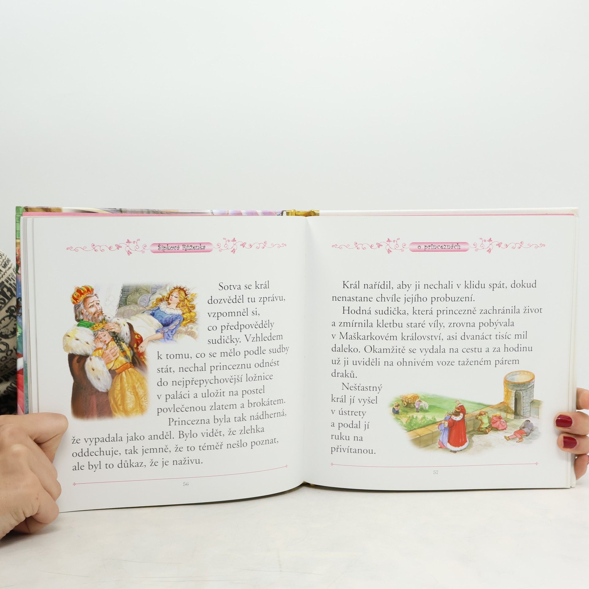 Carmen Guerra Nejkrásnější pohádky o princeznách : [s velkými písmenky]