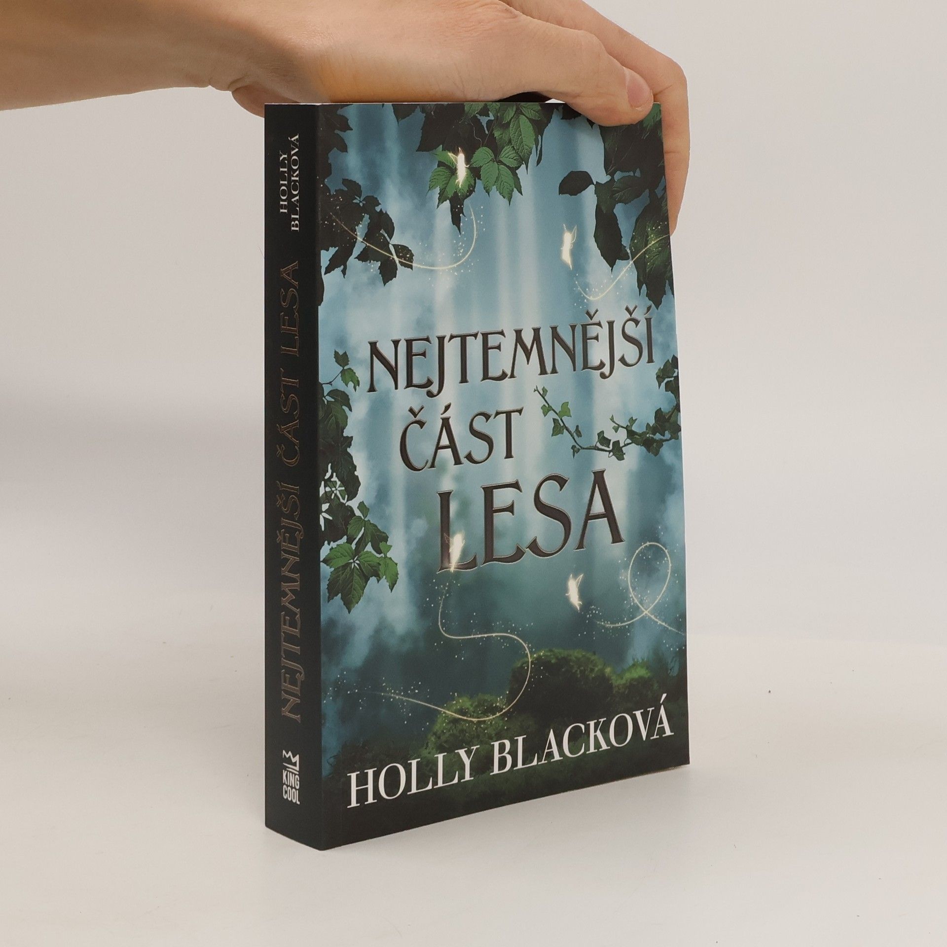 Holly Black Nejtemnější část lesa