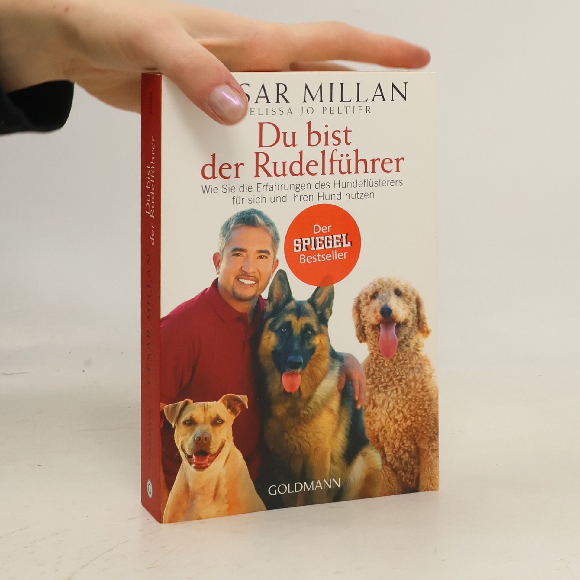 Cesar Millan Du bist der Rudelführer