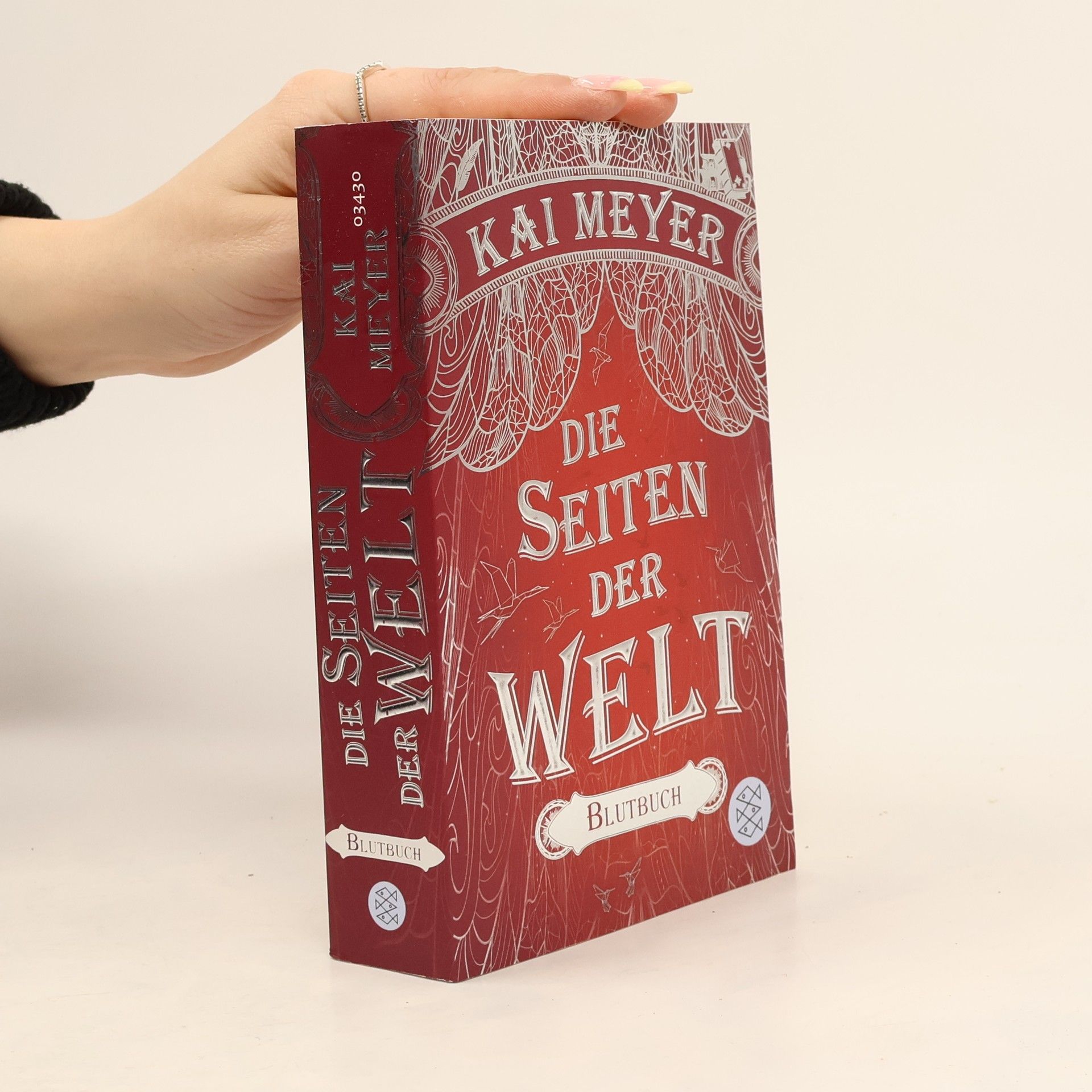 Die Seiten der Welt - Blutbuch