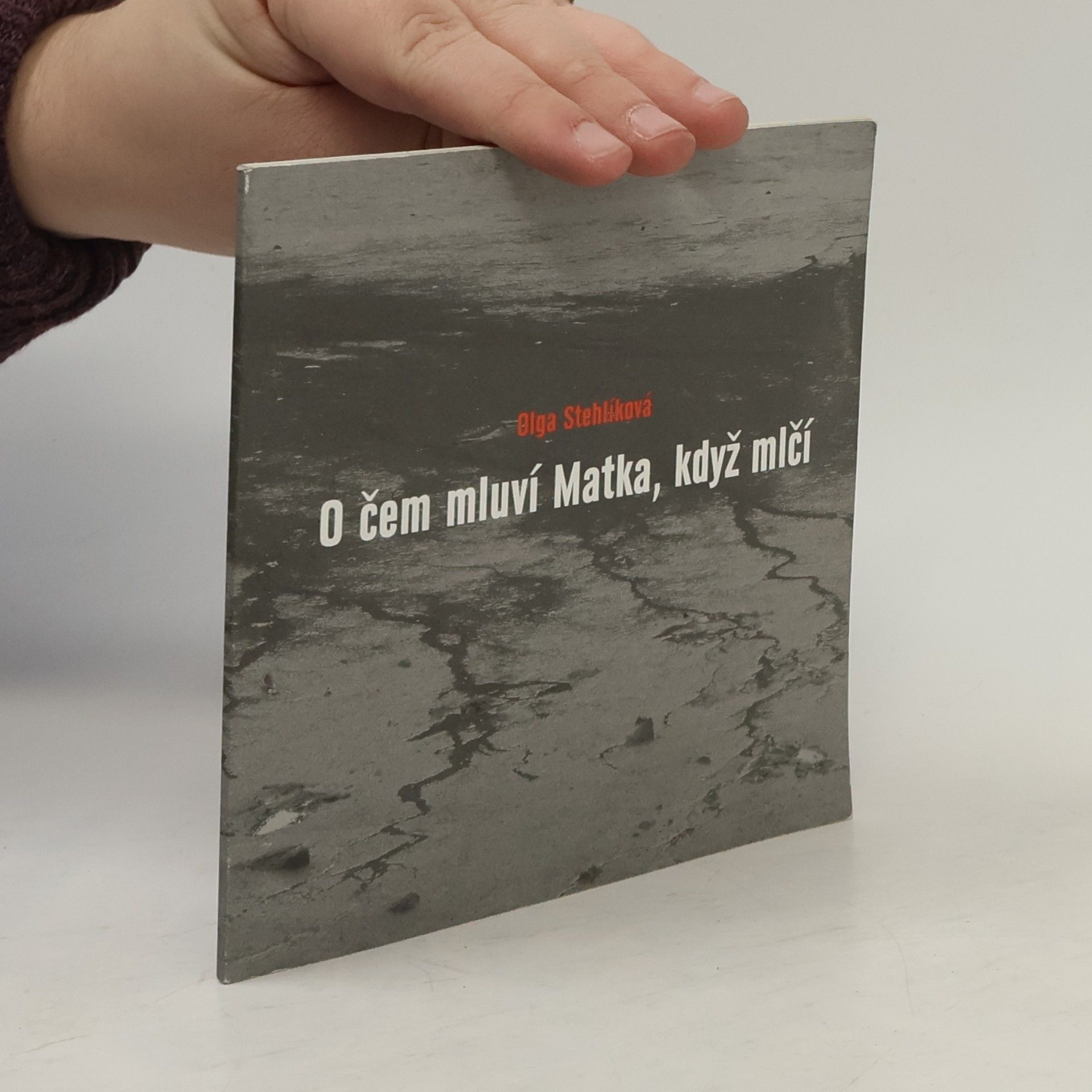 O čem mluví Matka, když mlčí