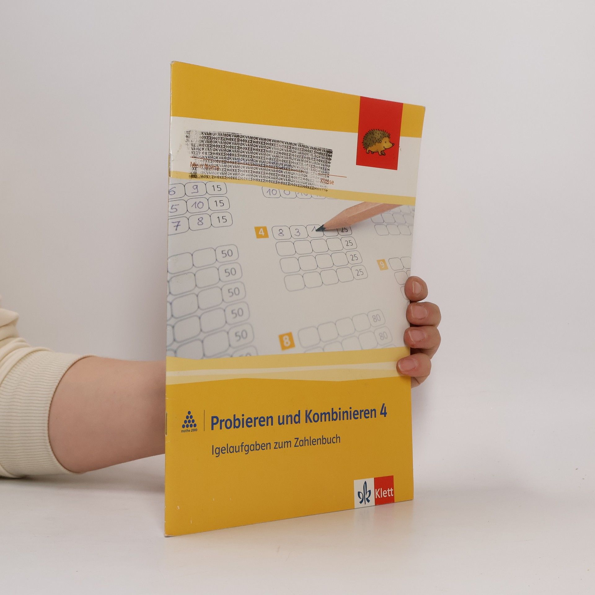 Probieren und Kombinieren 4