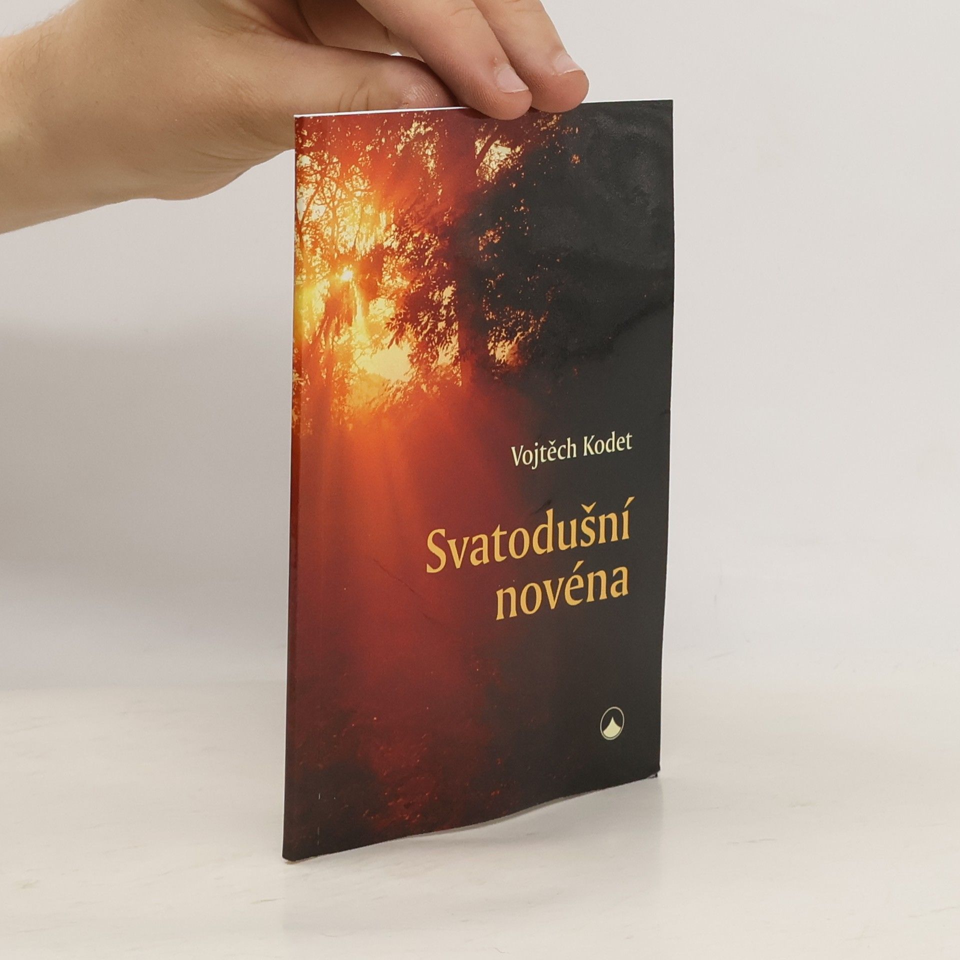 Svatodušní novéna