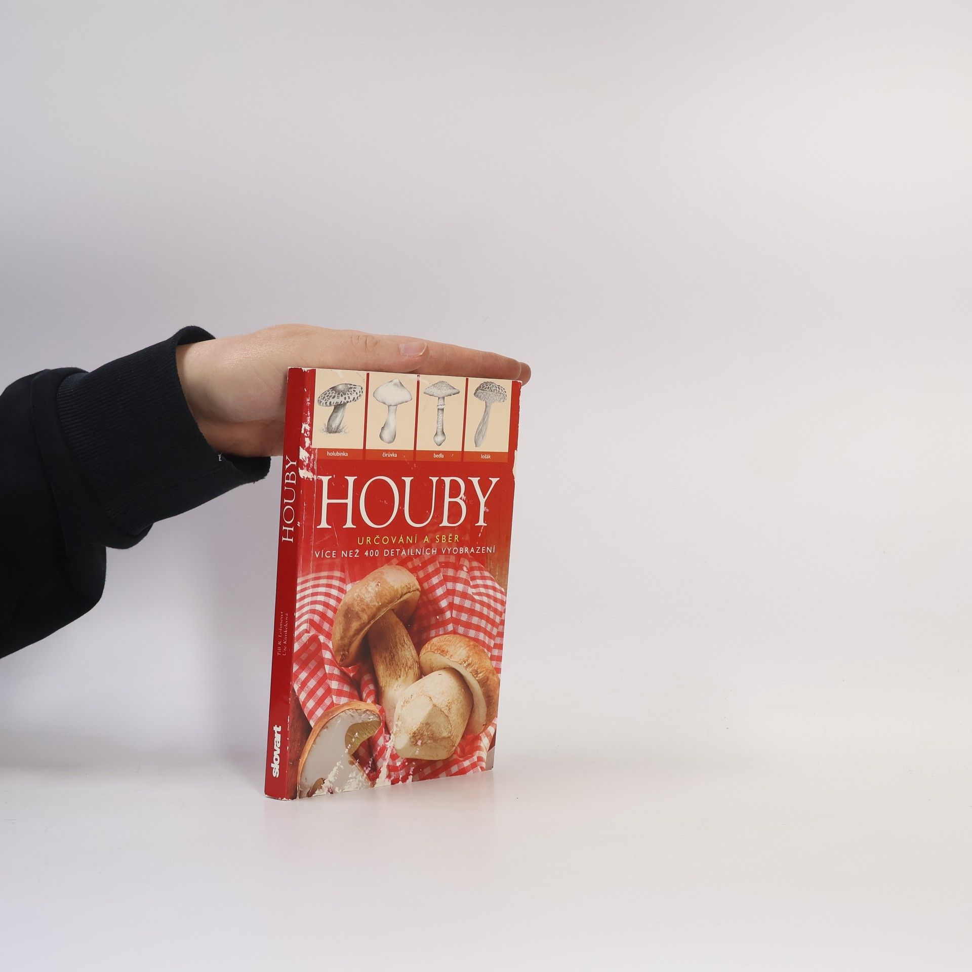 Houby : [určování a sběr]