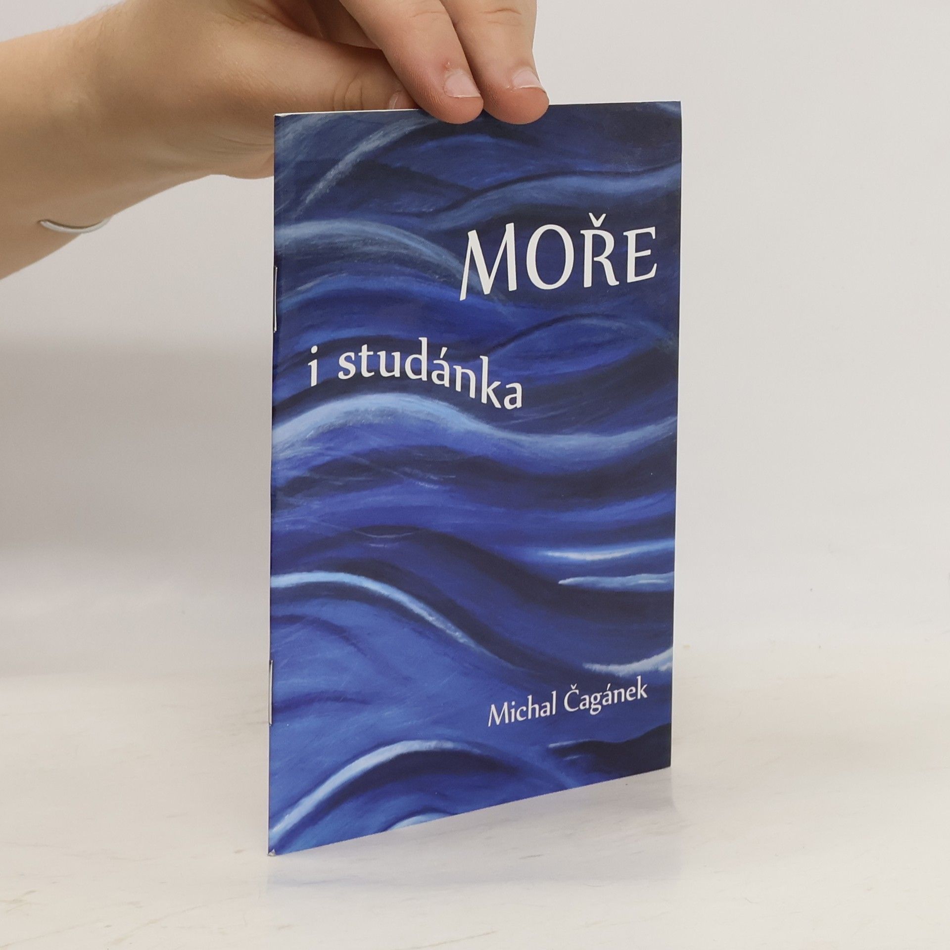 Michal Čagánek Moře i studánka