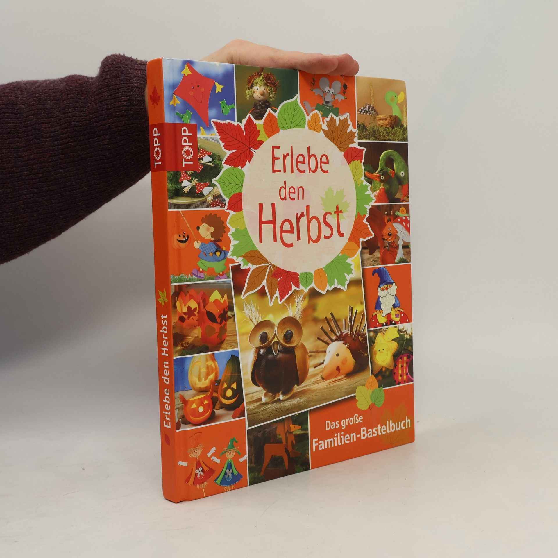 Kolektiv autorů Erlebe den Herbst