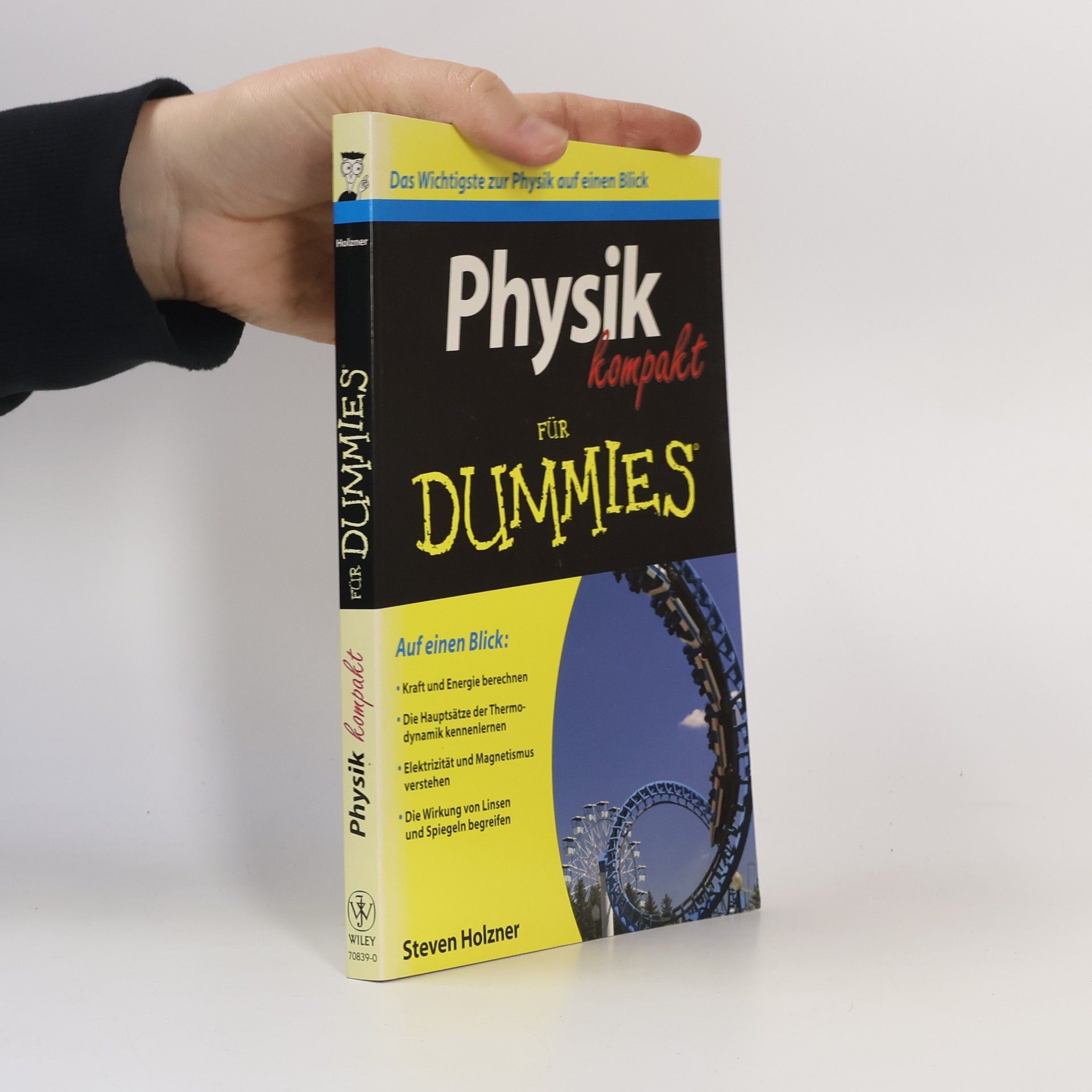 Physik kompakt für Dummies