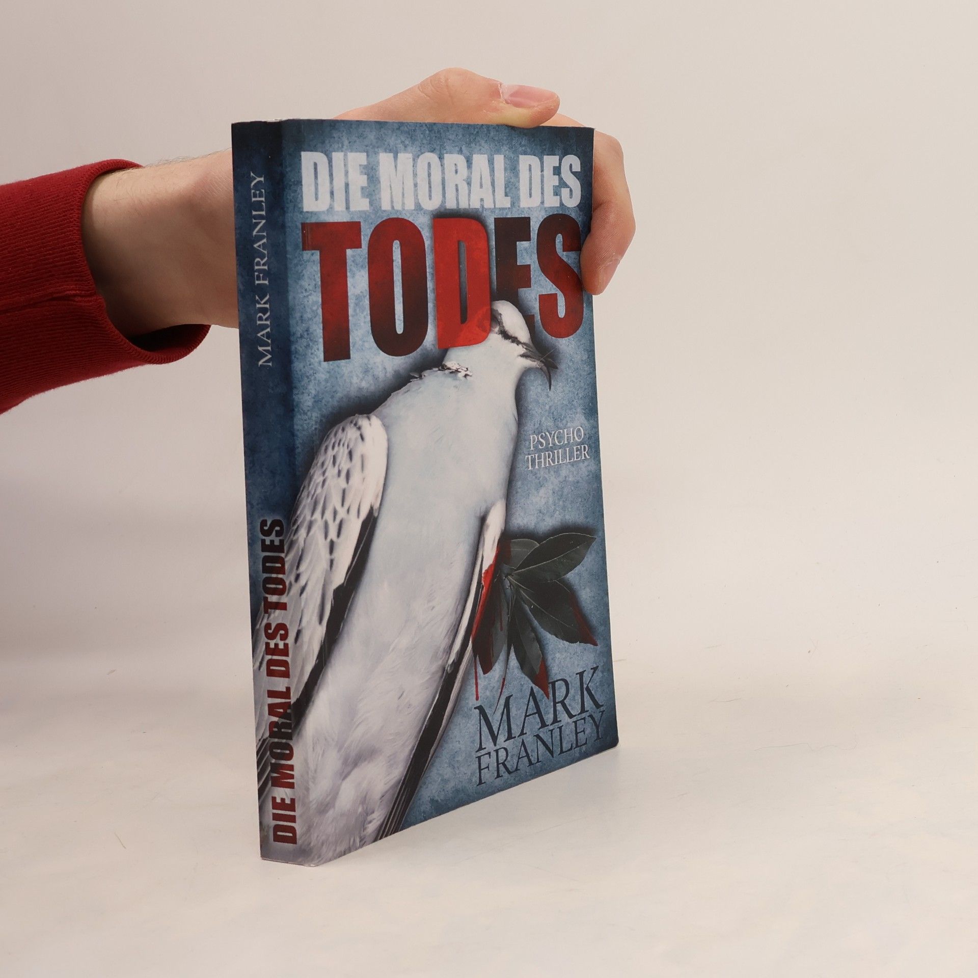 Mark Franley Lewis Schneider - 3: Die Moral des Todes