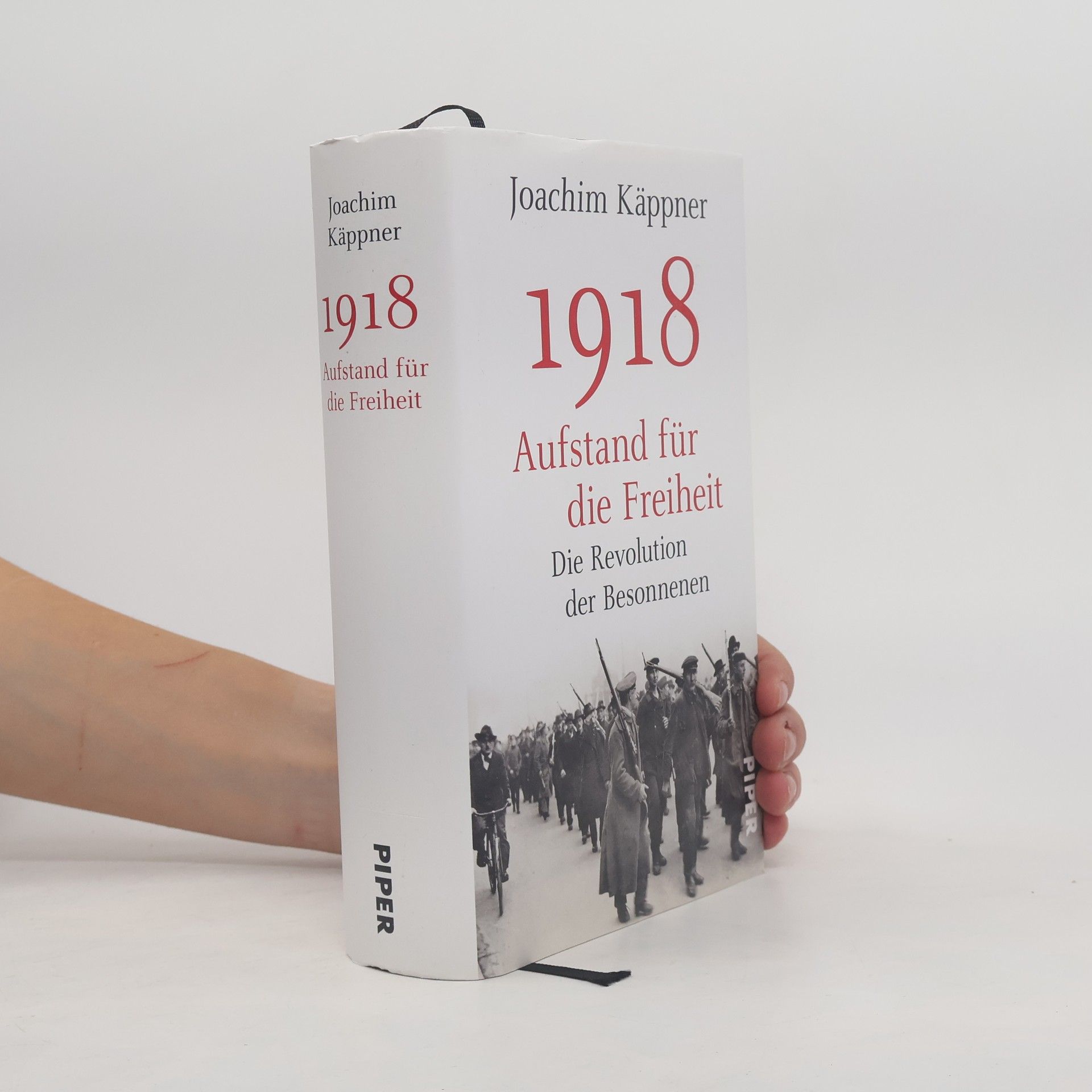 1918 - Aufstand für die Freiheit