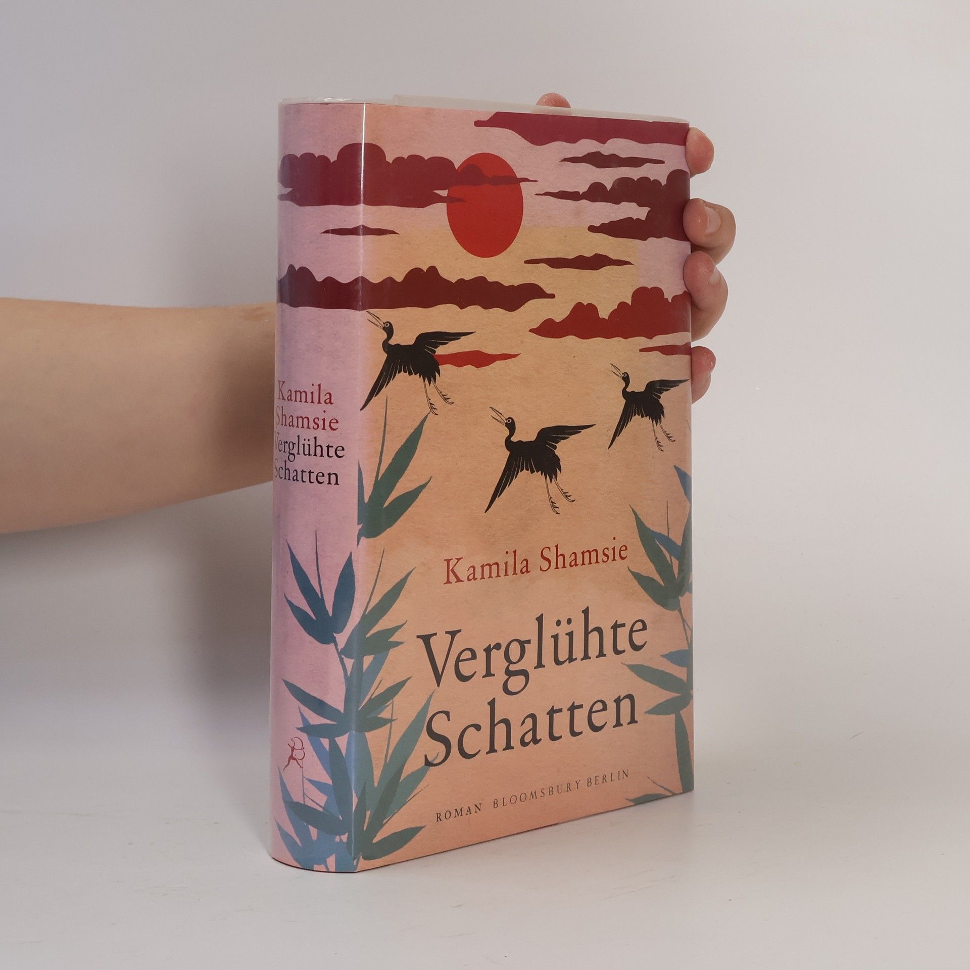 Kamila Shamsie Verglühte Schatten