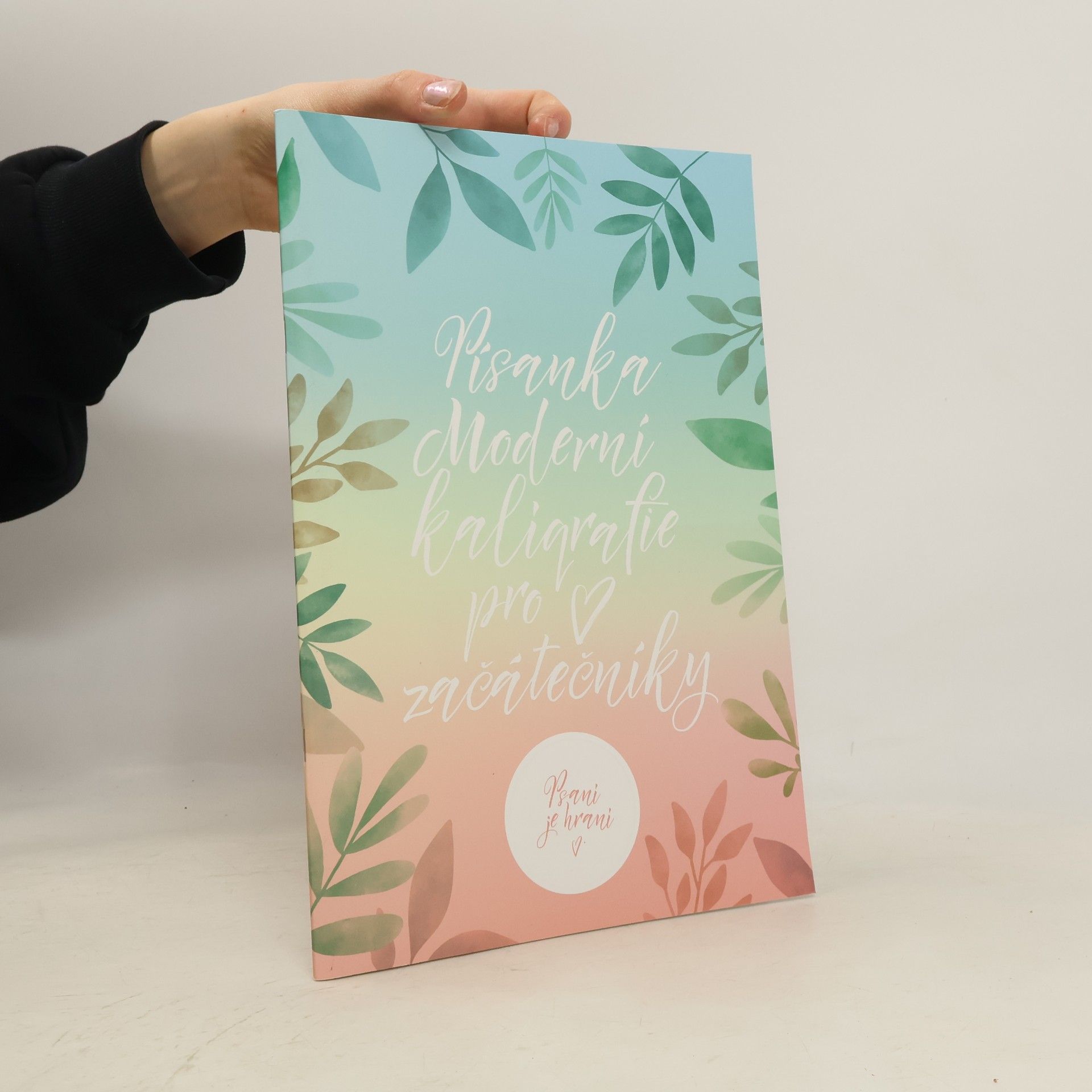 Kolektív autorov Písanka moderní kaligrafie pro začátečníky