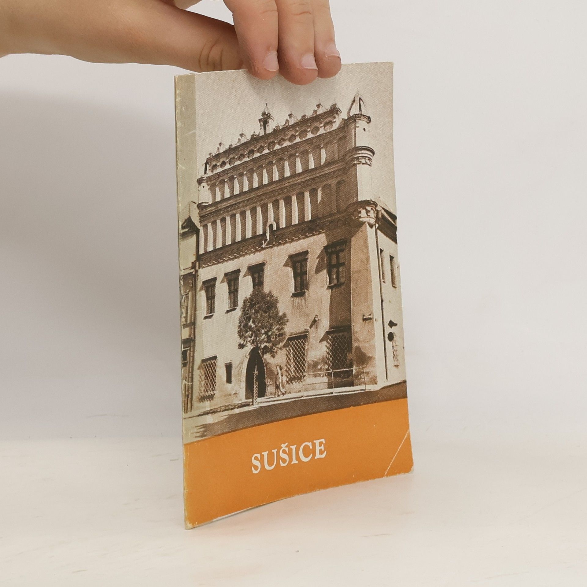 Kolektiv autorů Sušice