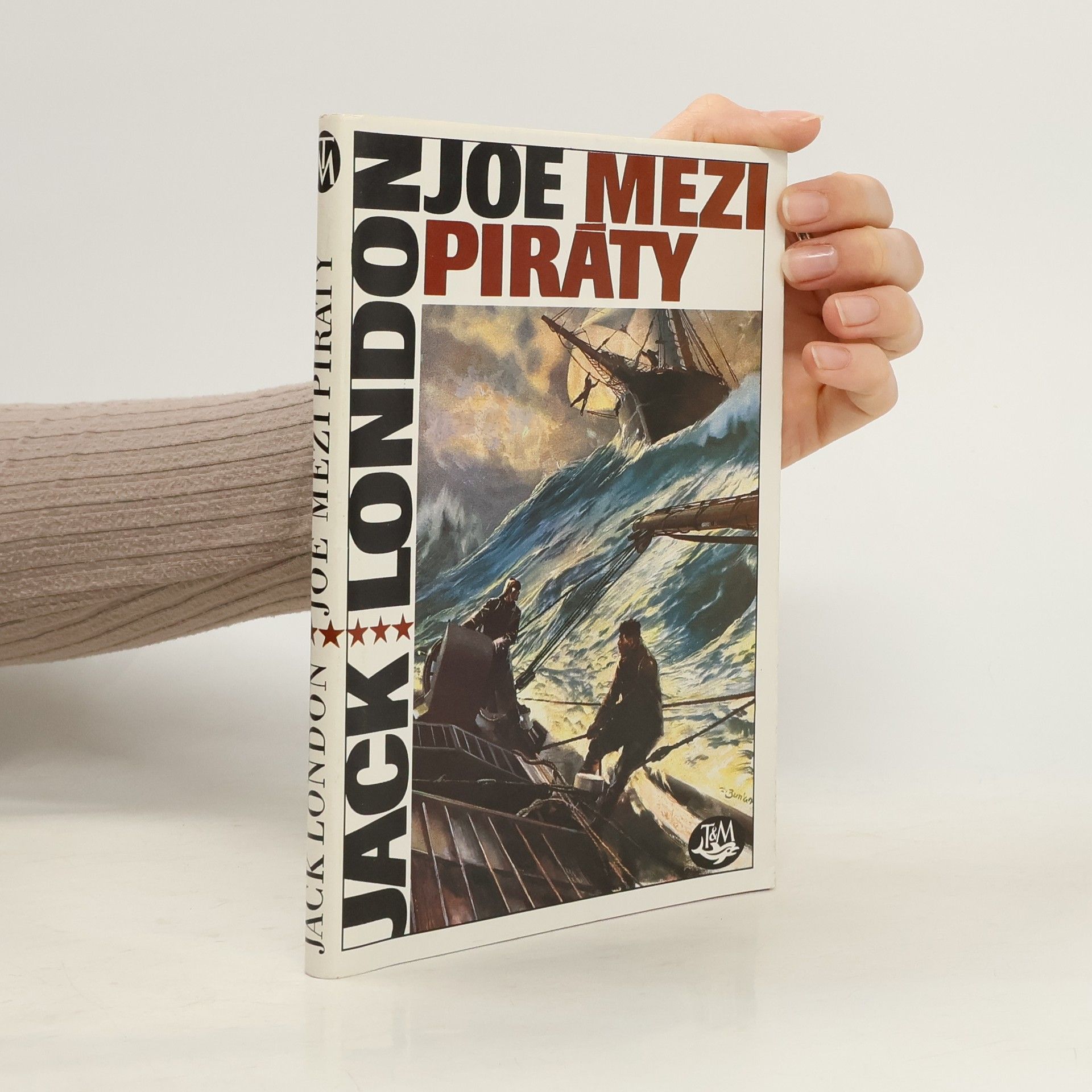 Joe mezi piráty