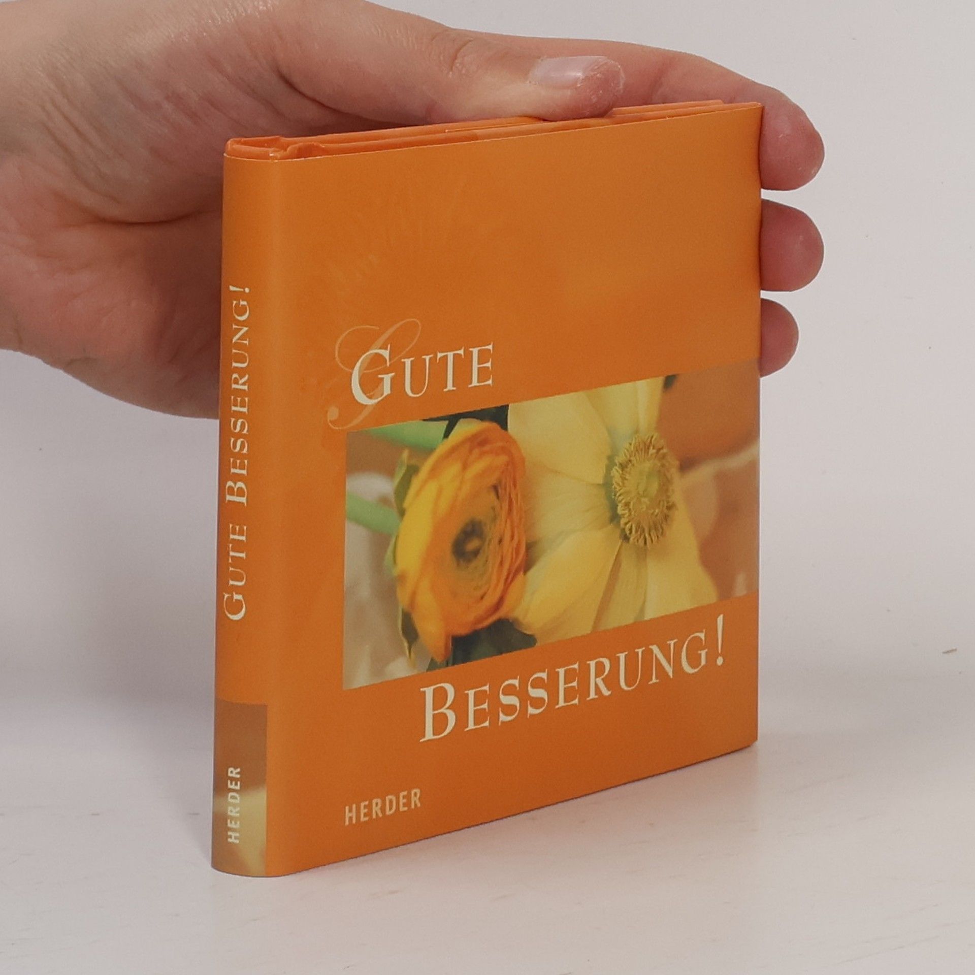 Autorenkollektiv Gute Besserung!