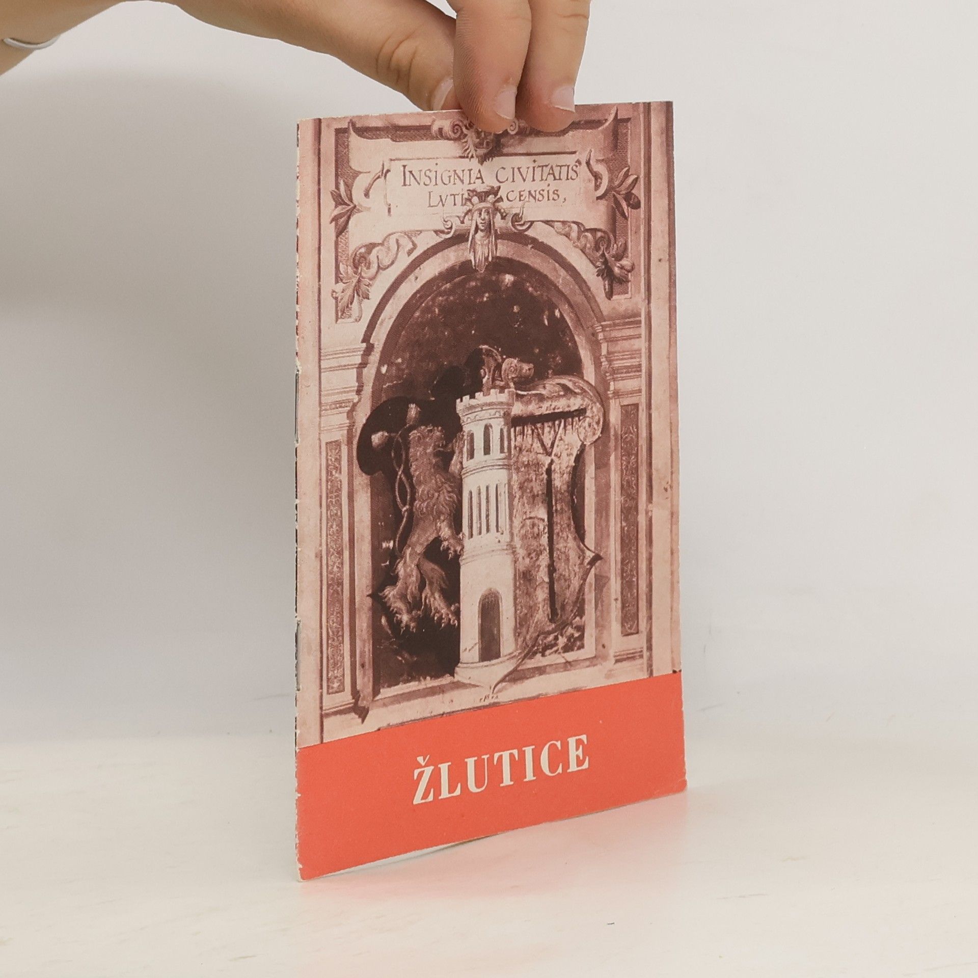 Kolektiv autorů Žlutice